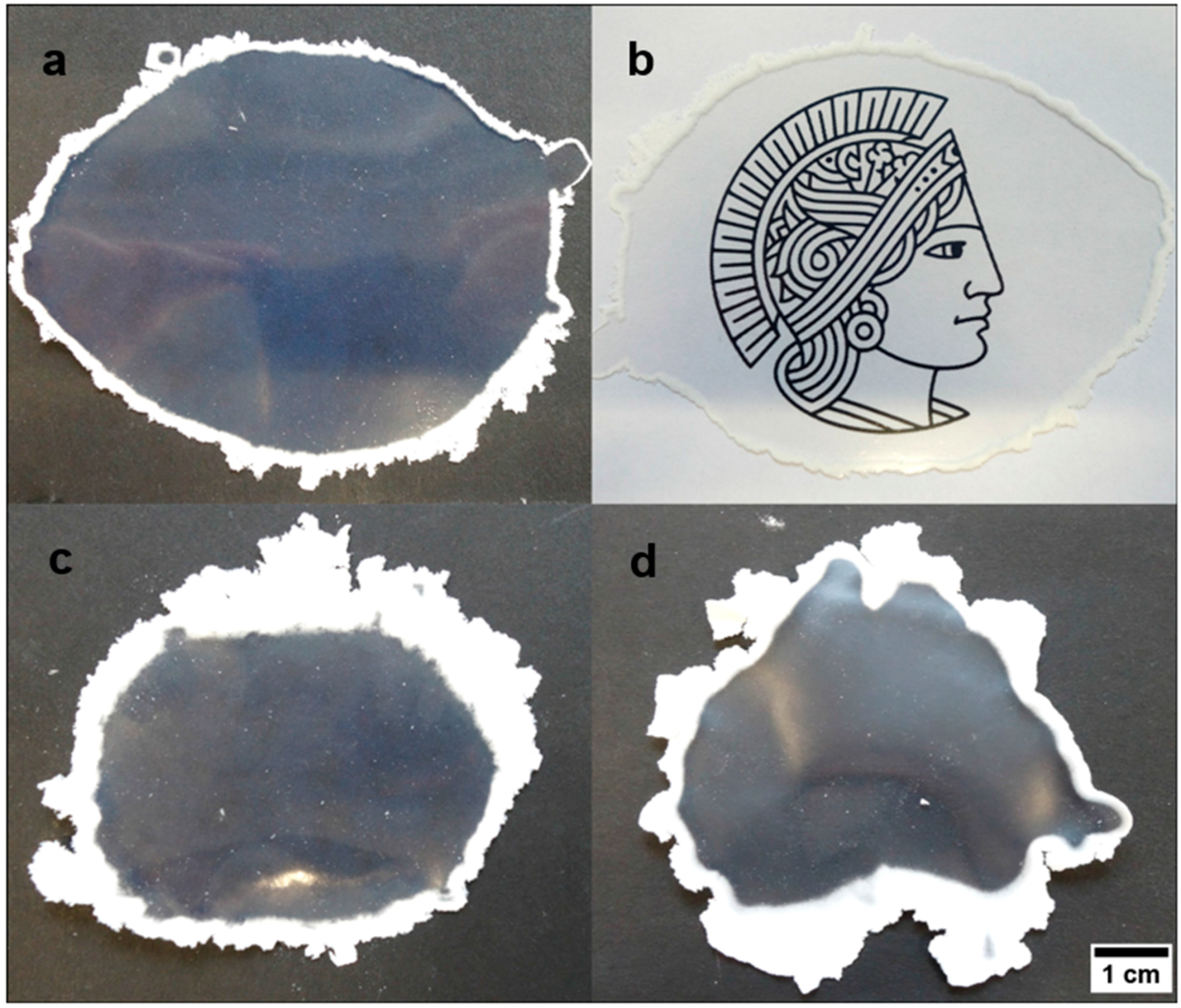 Nanomaterials 07 00390 g006 Nanomaterials 07 00390 g006