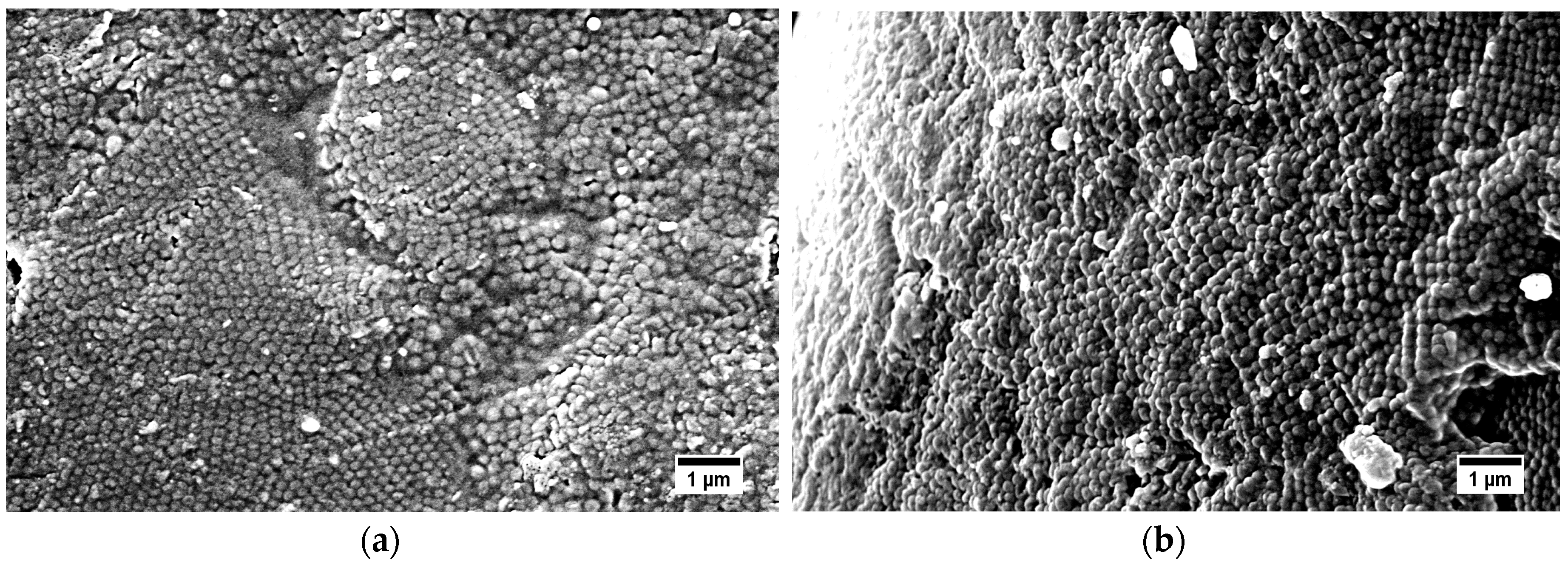 Nanomaterials 07 00390 g010 Nanomaterials 07 00390 g010