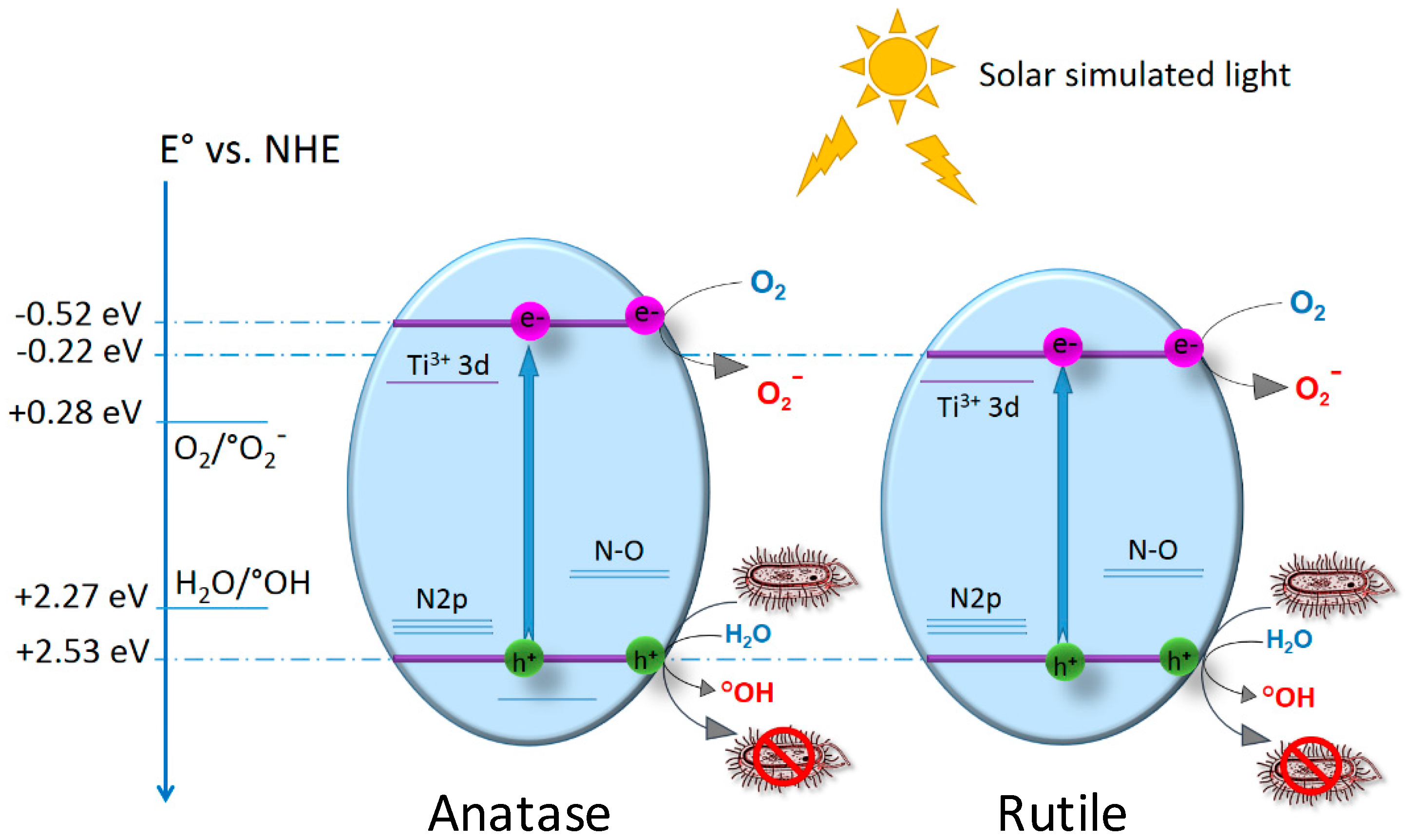 Nanomaterials 07 00391 sch001 Nanomaterials 07 00391 sch001
