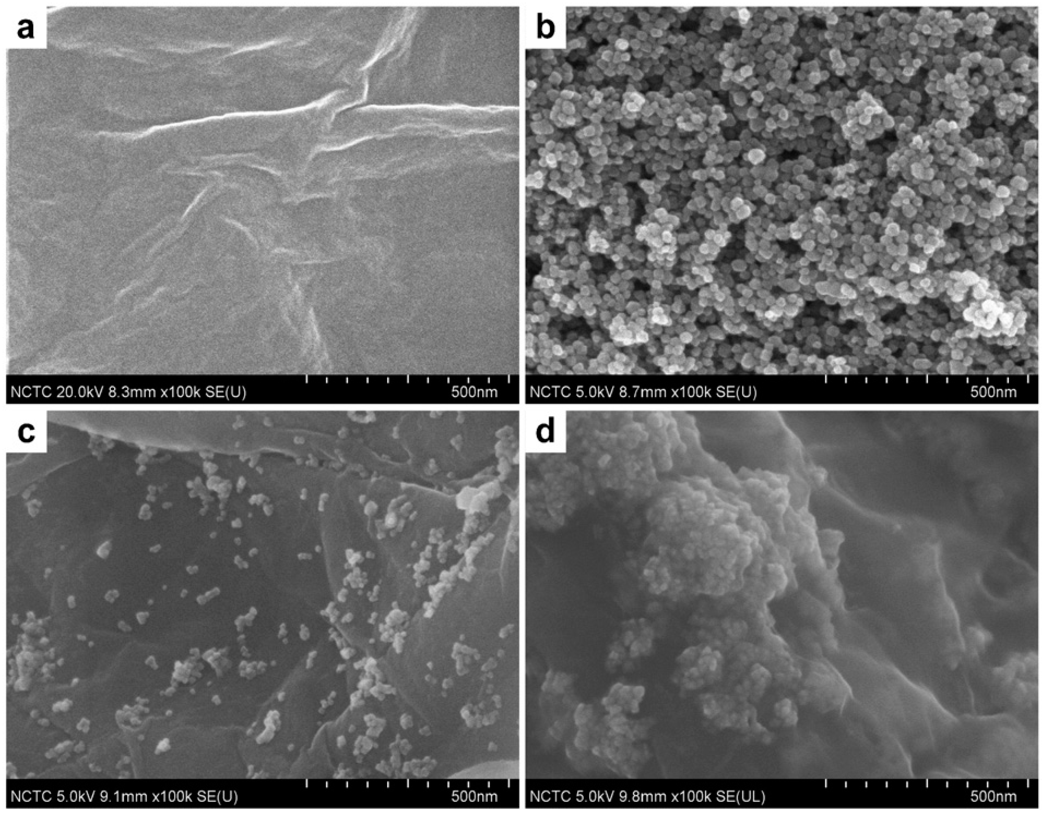 Nanomaterials 07 00406 g012 550
