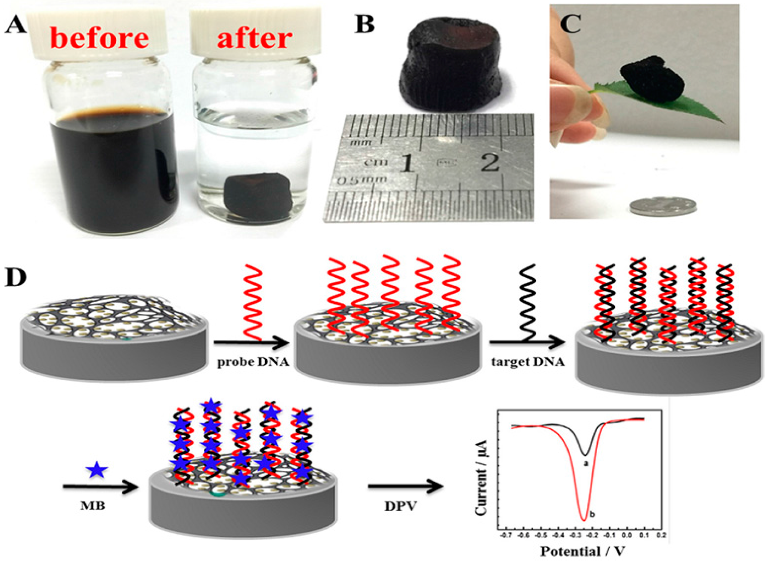 Nanomaterials 07 00406 g017 550