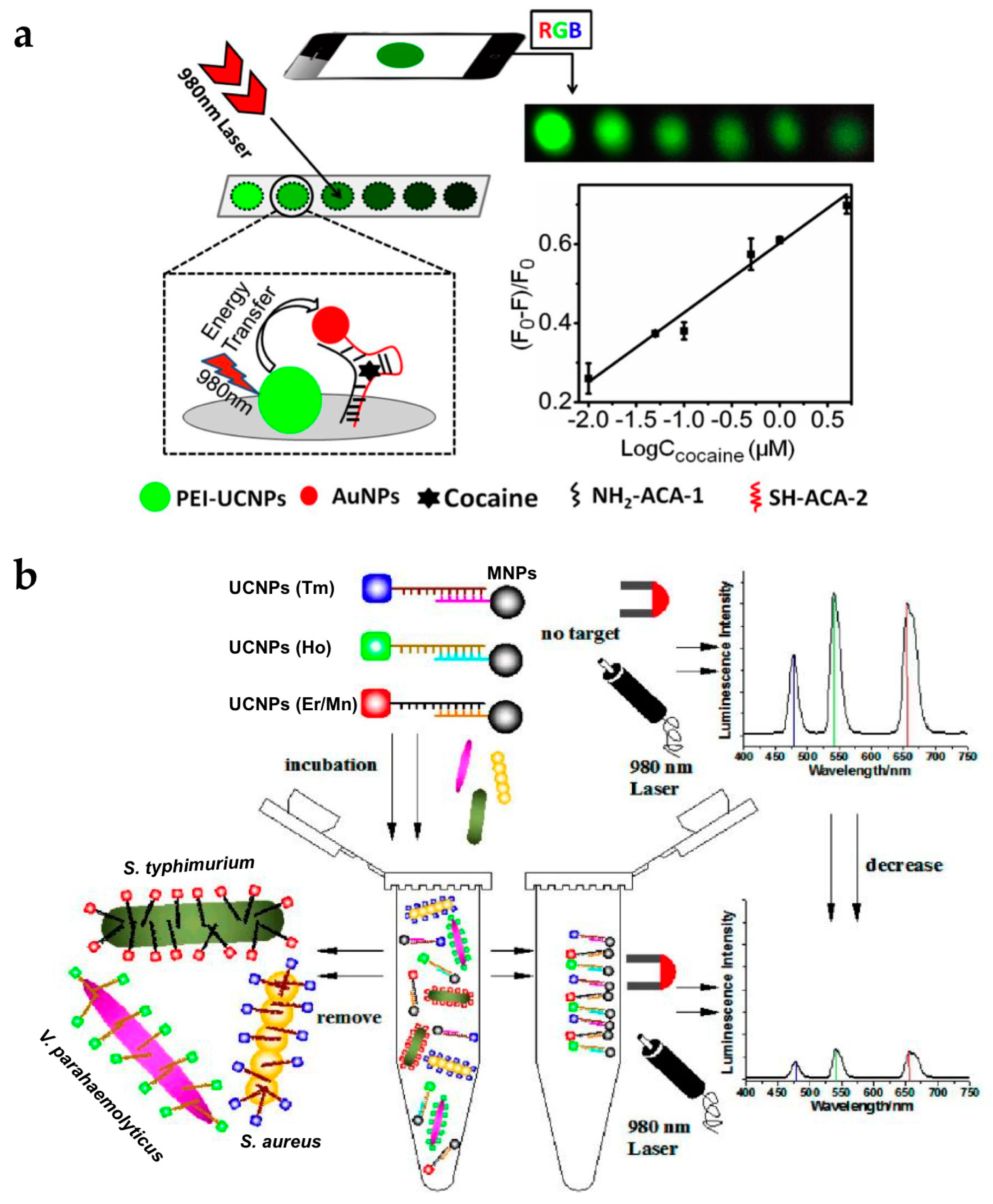 Nanomaterials 07 00411 g006 550
