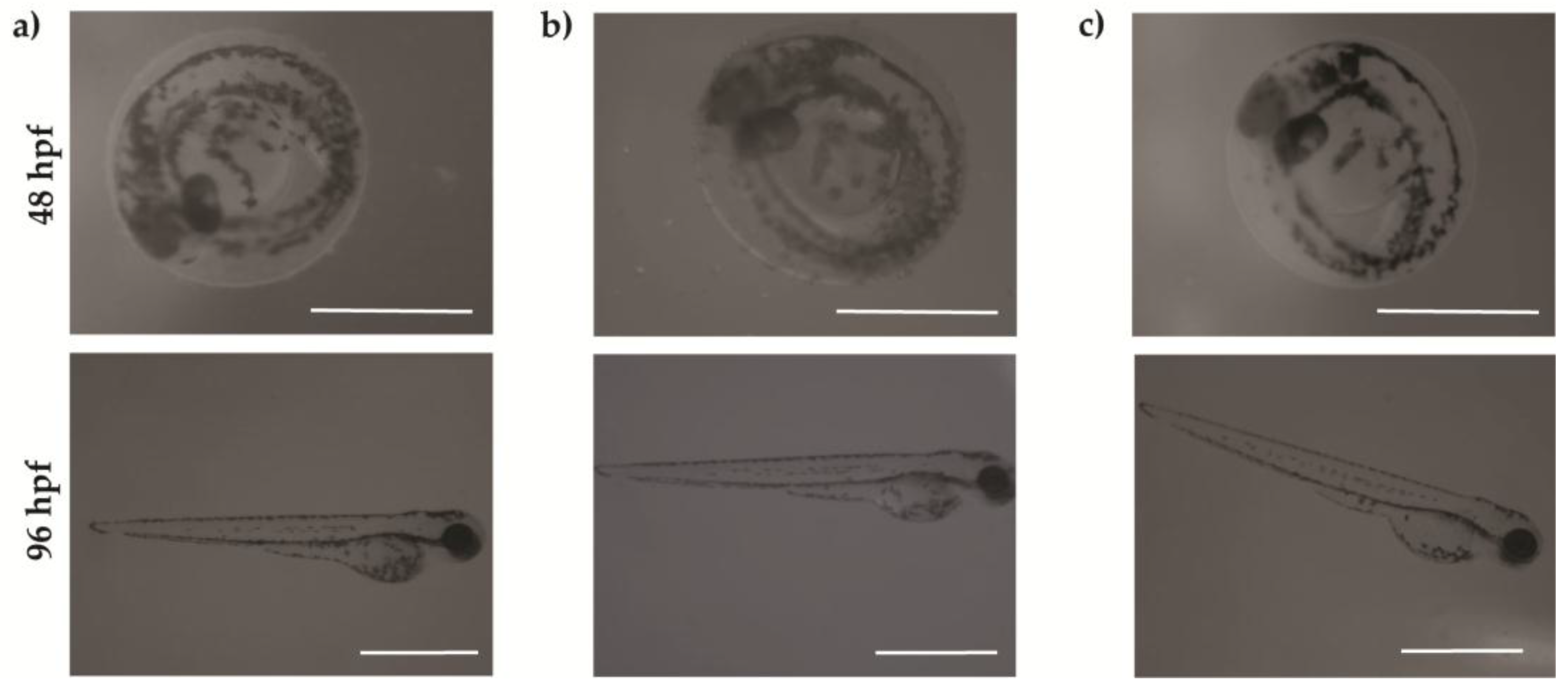 Nanomaterials 07 00414 g009