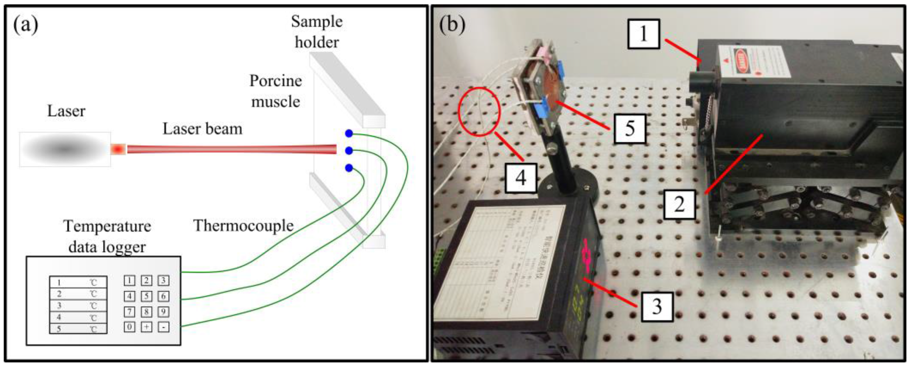 Nanomaterials 07 00416 g011