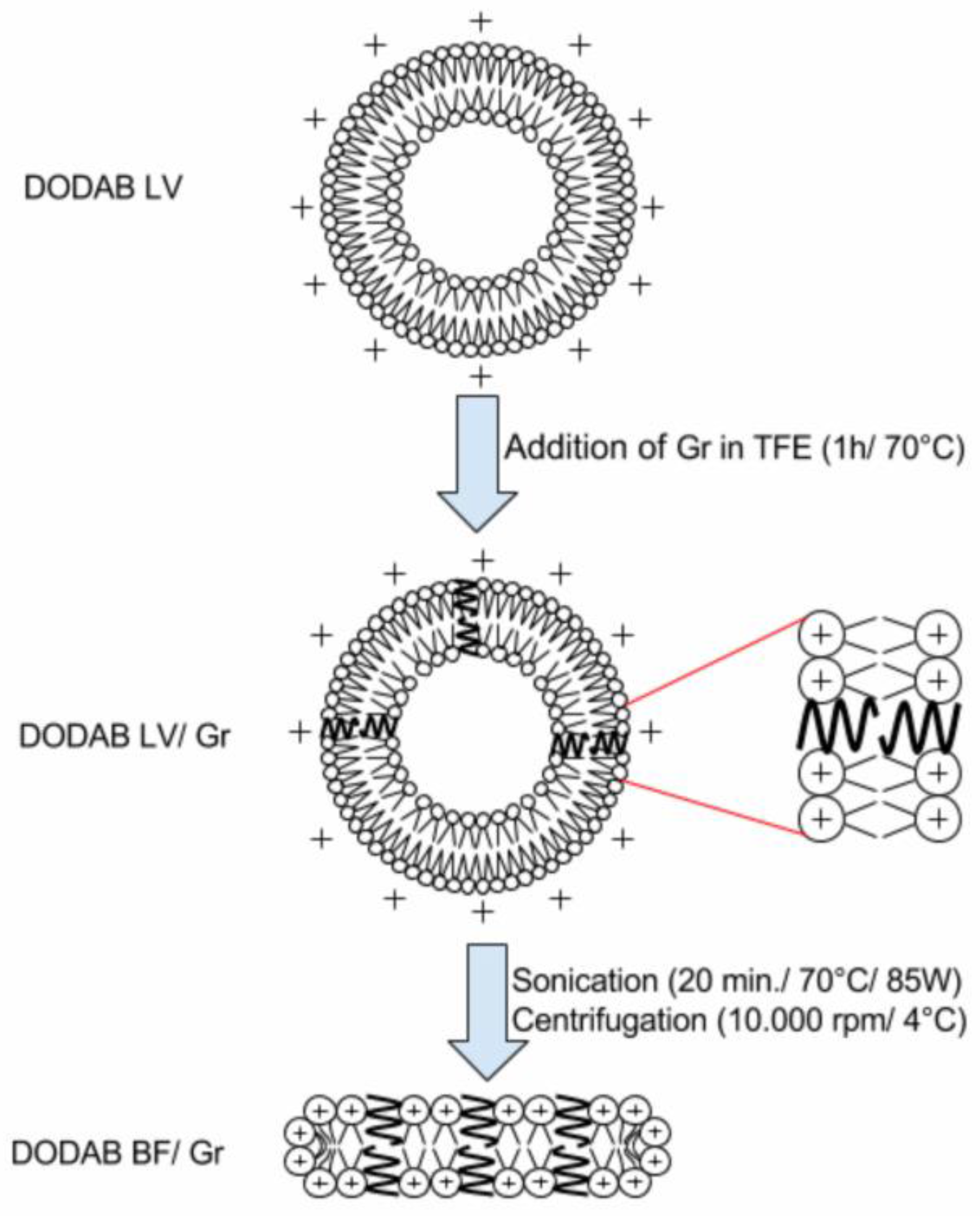 Nanomaterials 07 00422 g006 Nanomaterials 07 00422 g006