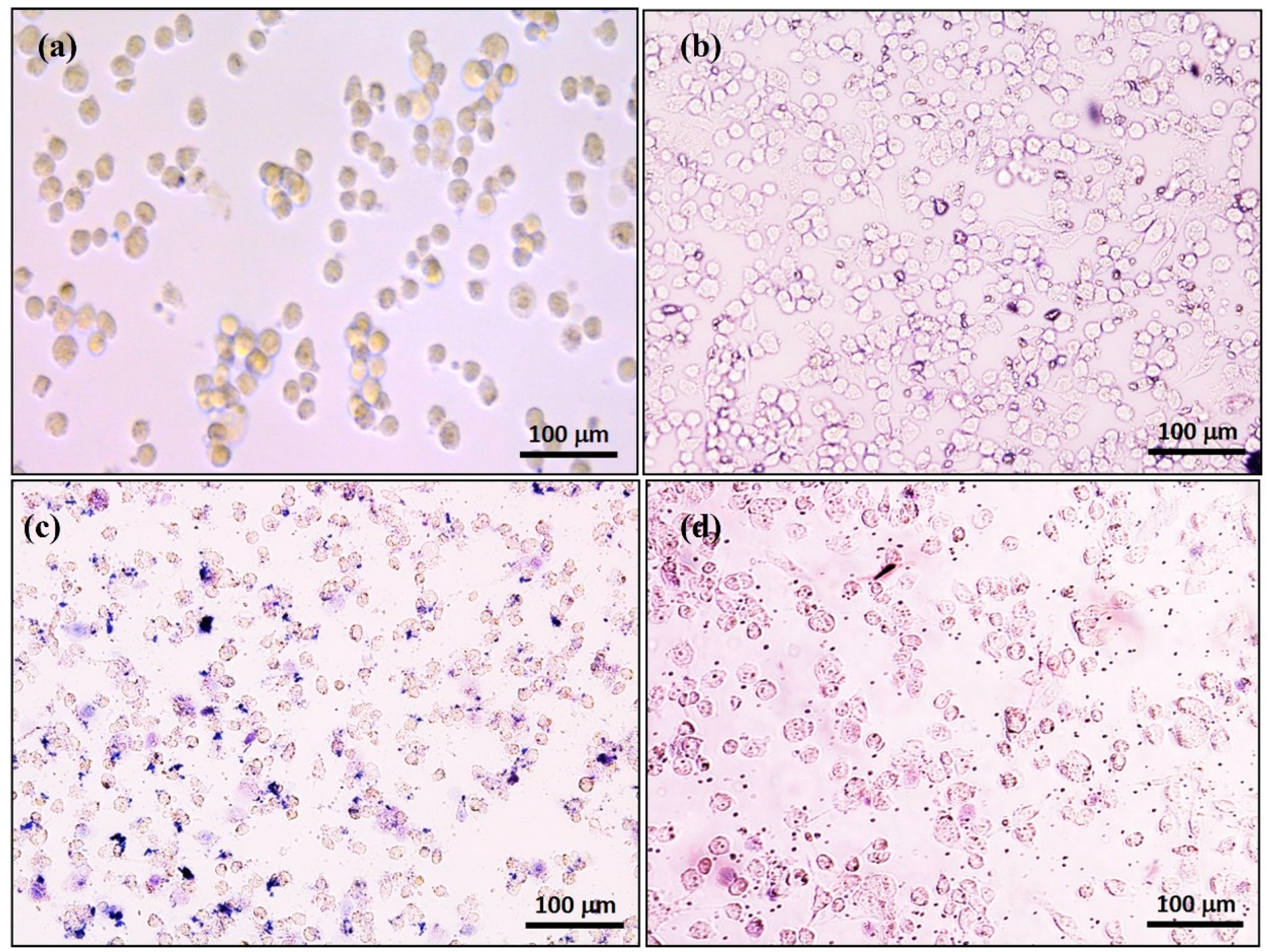 Nanomaterials 07 00426 g007