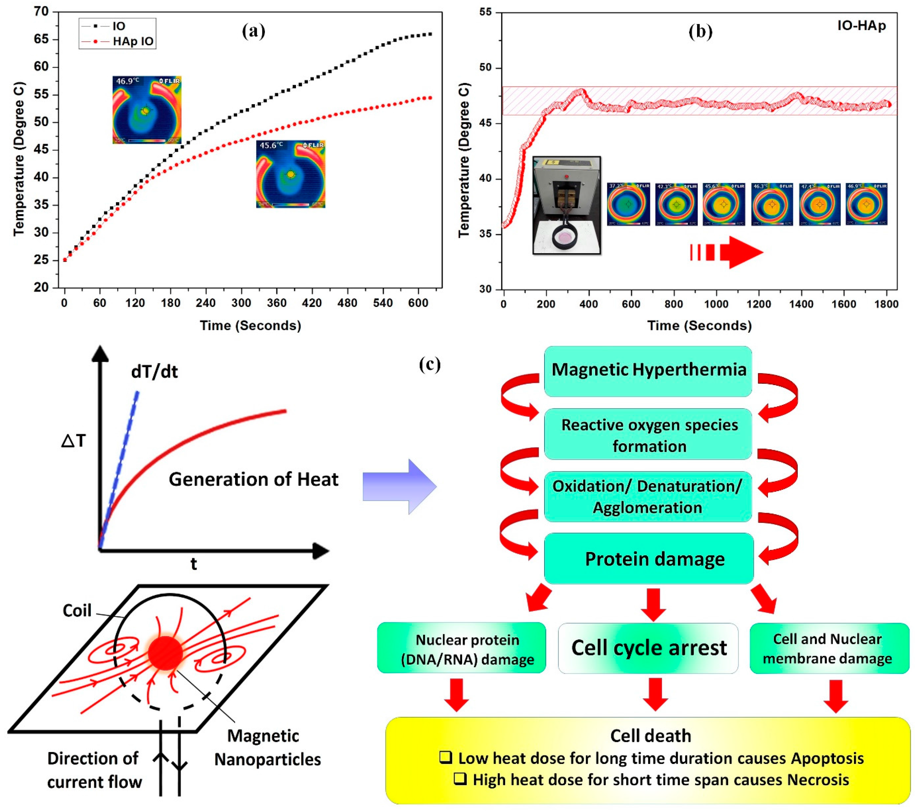 Nanomaterials 07 00426 g008