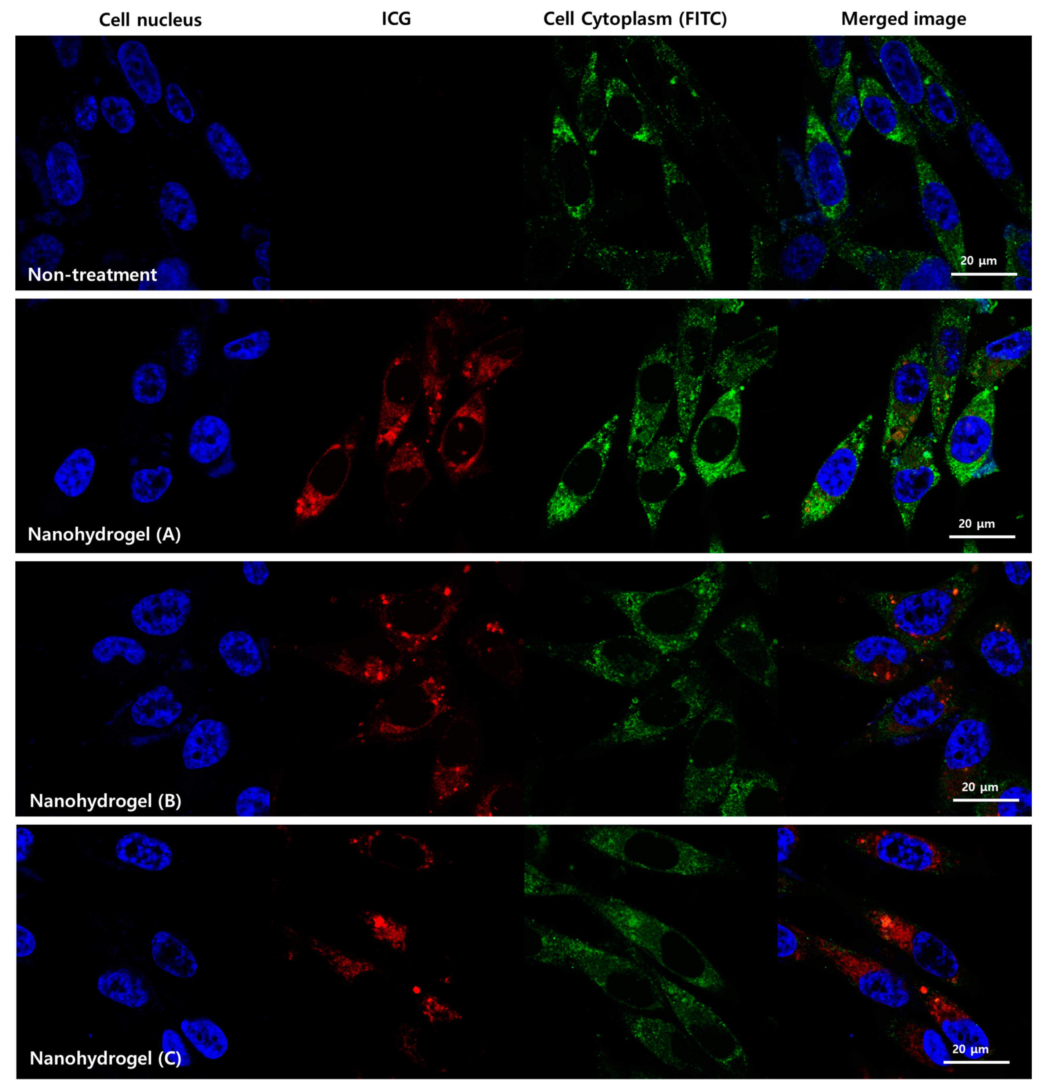 Nanomaterials 07 00427 g005 550