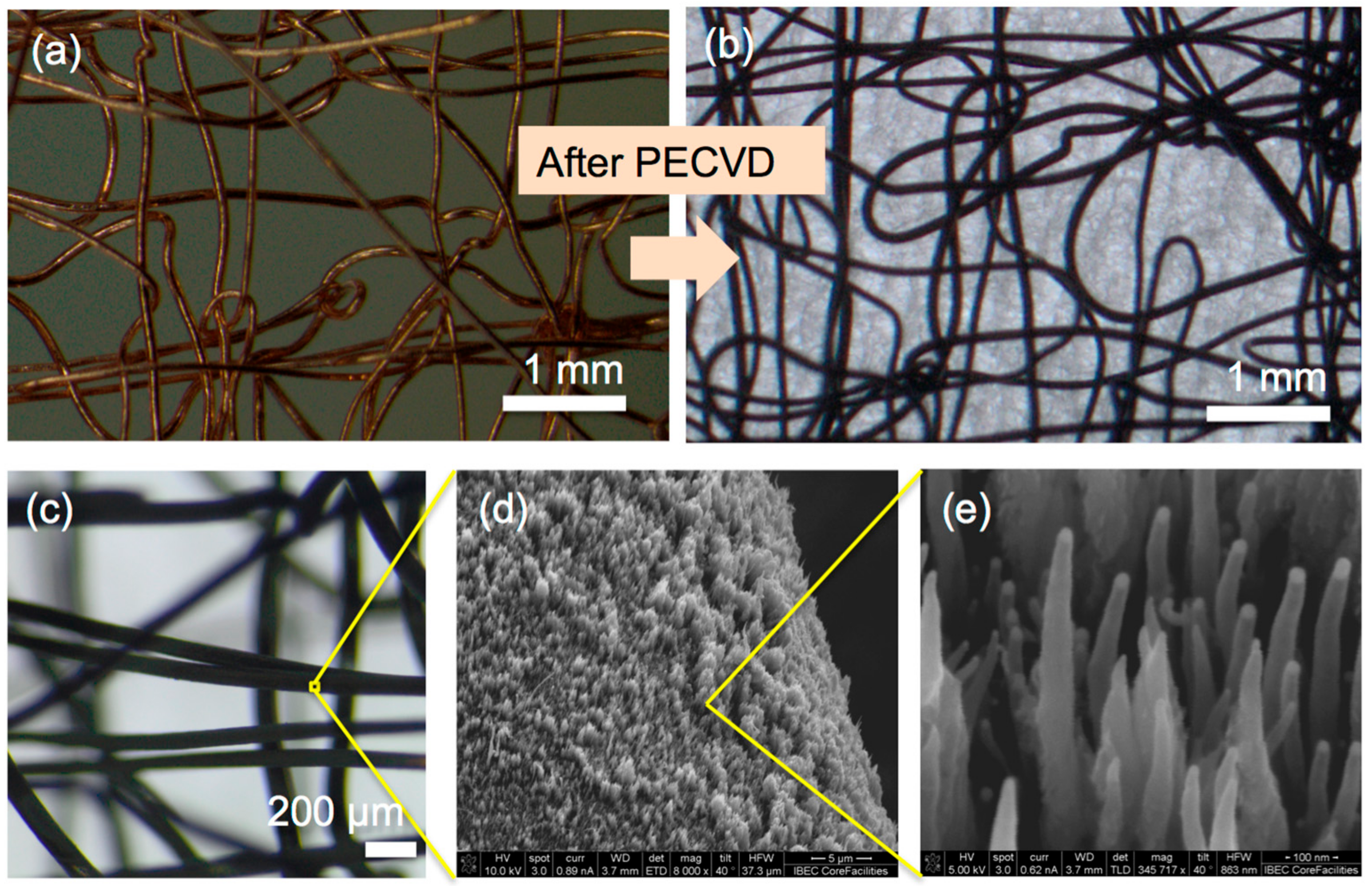 Nanomaterials 07 00438 g002