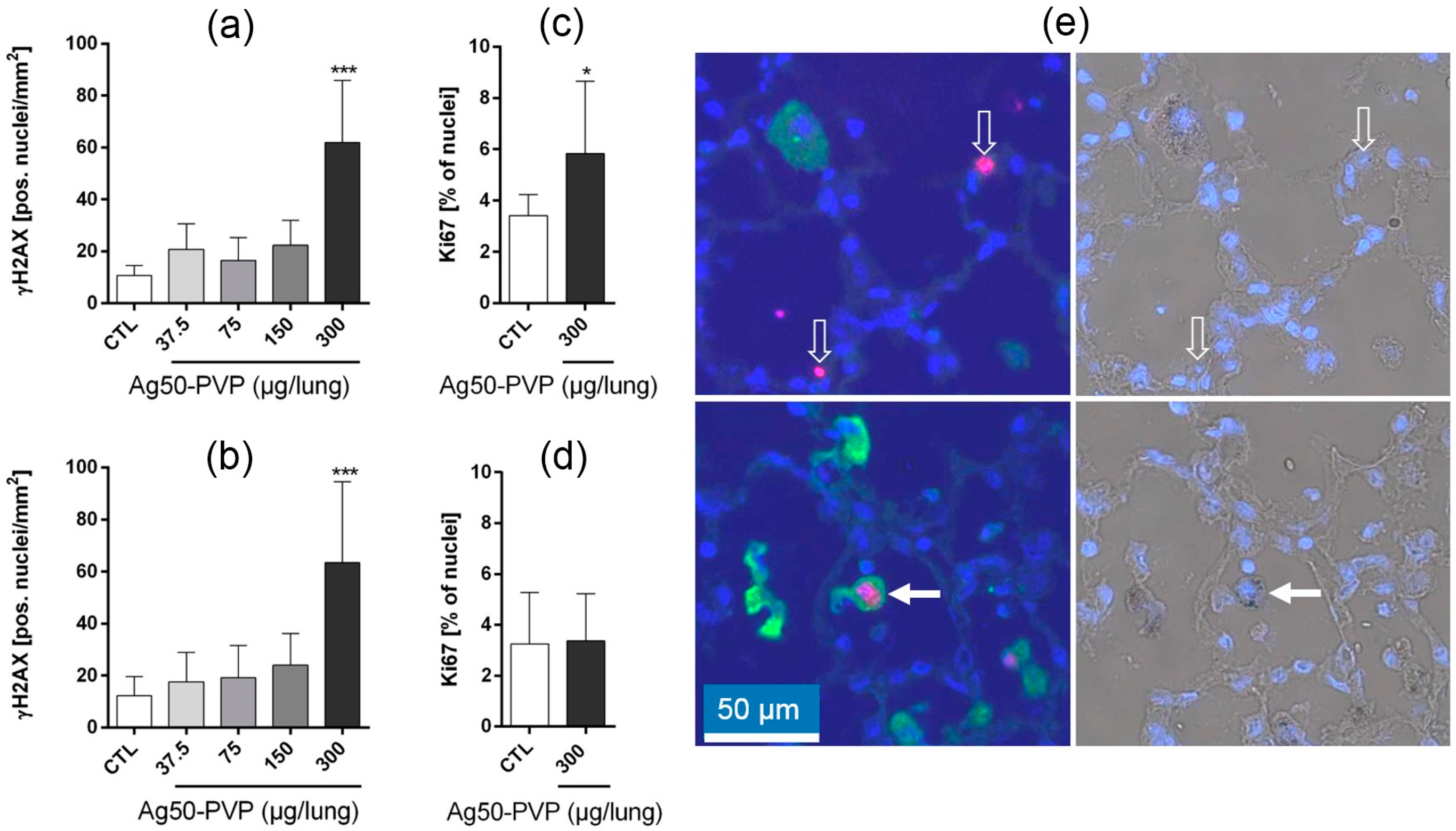 Nanomaterials 07 00441 g003