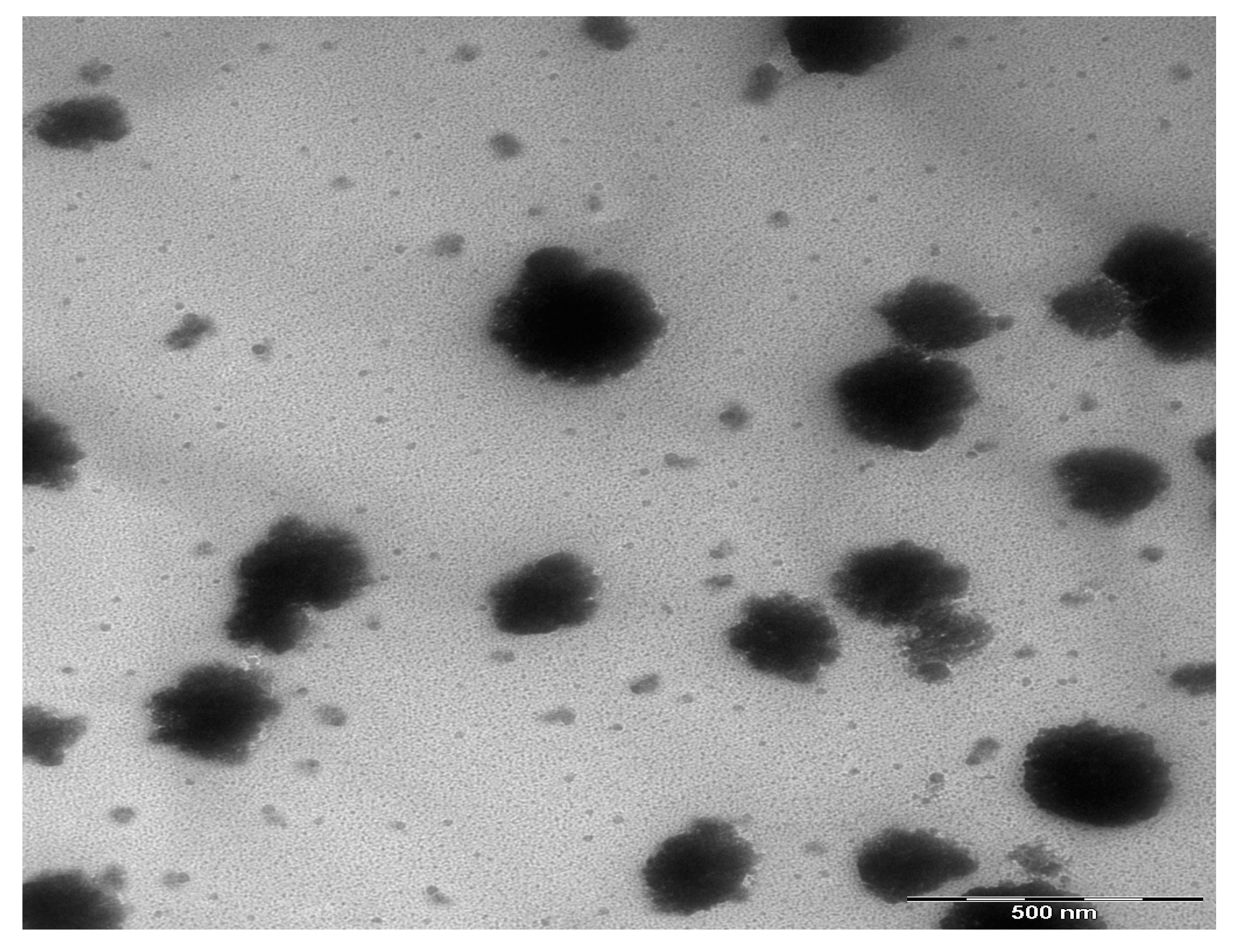 Nanomaterials 07 00444 g007 550