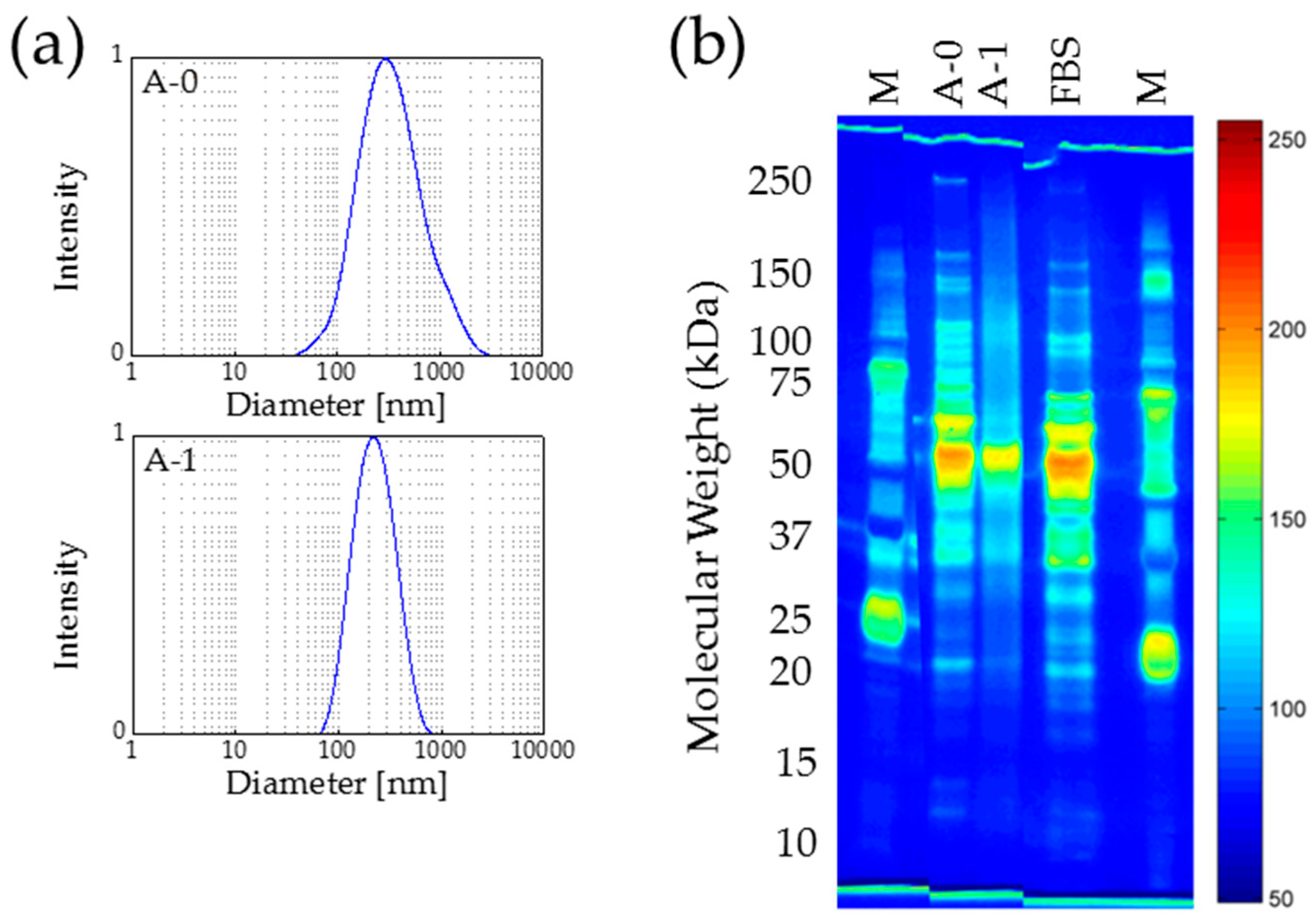 Nanomaterials 07 00453 g004 550