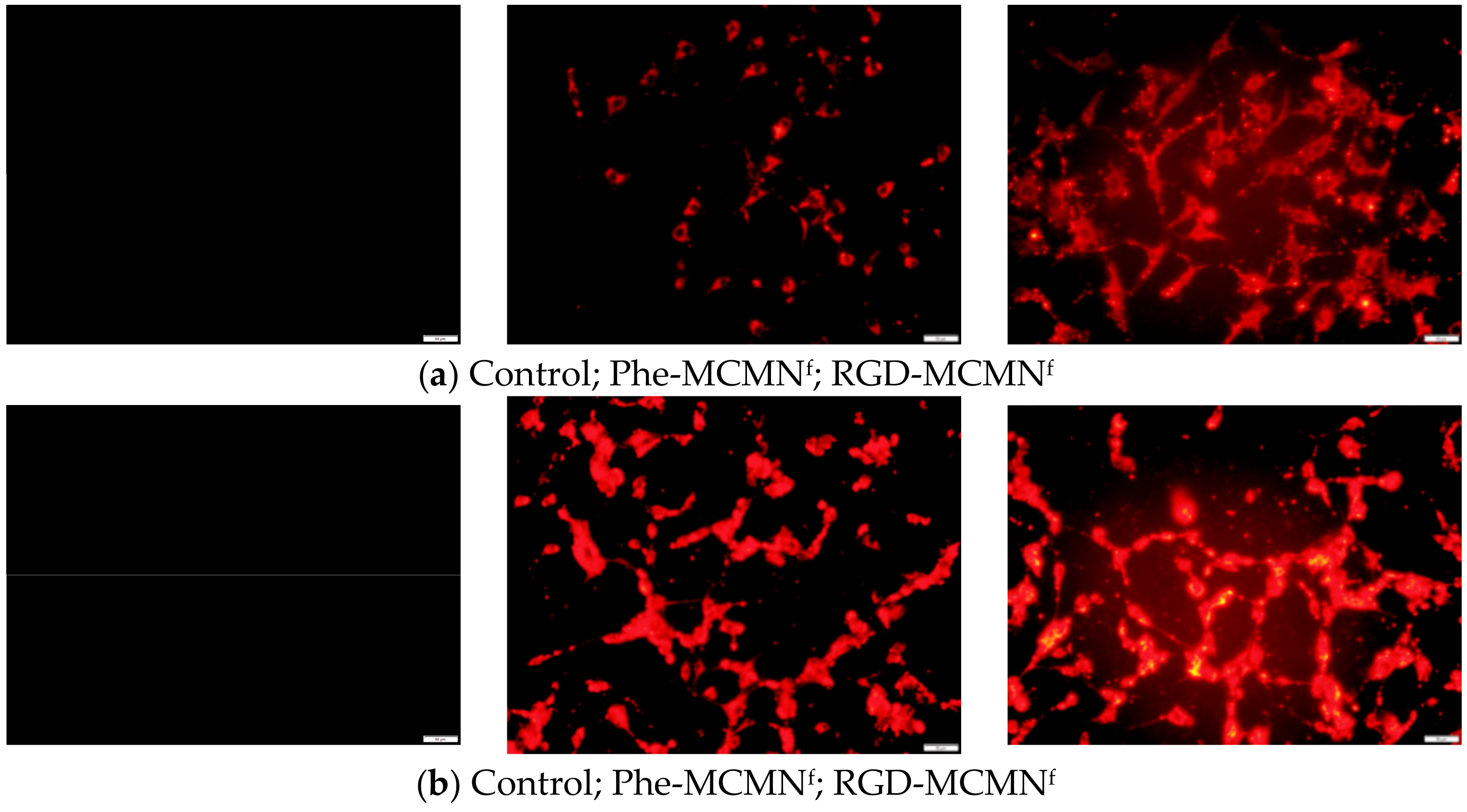 Nanomaterials 08 00002 g002 Nanomaterials 08 00002 g002