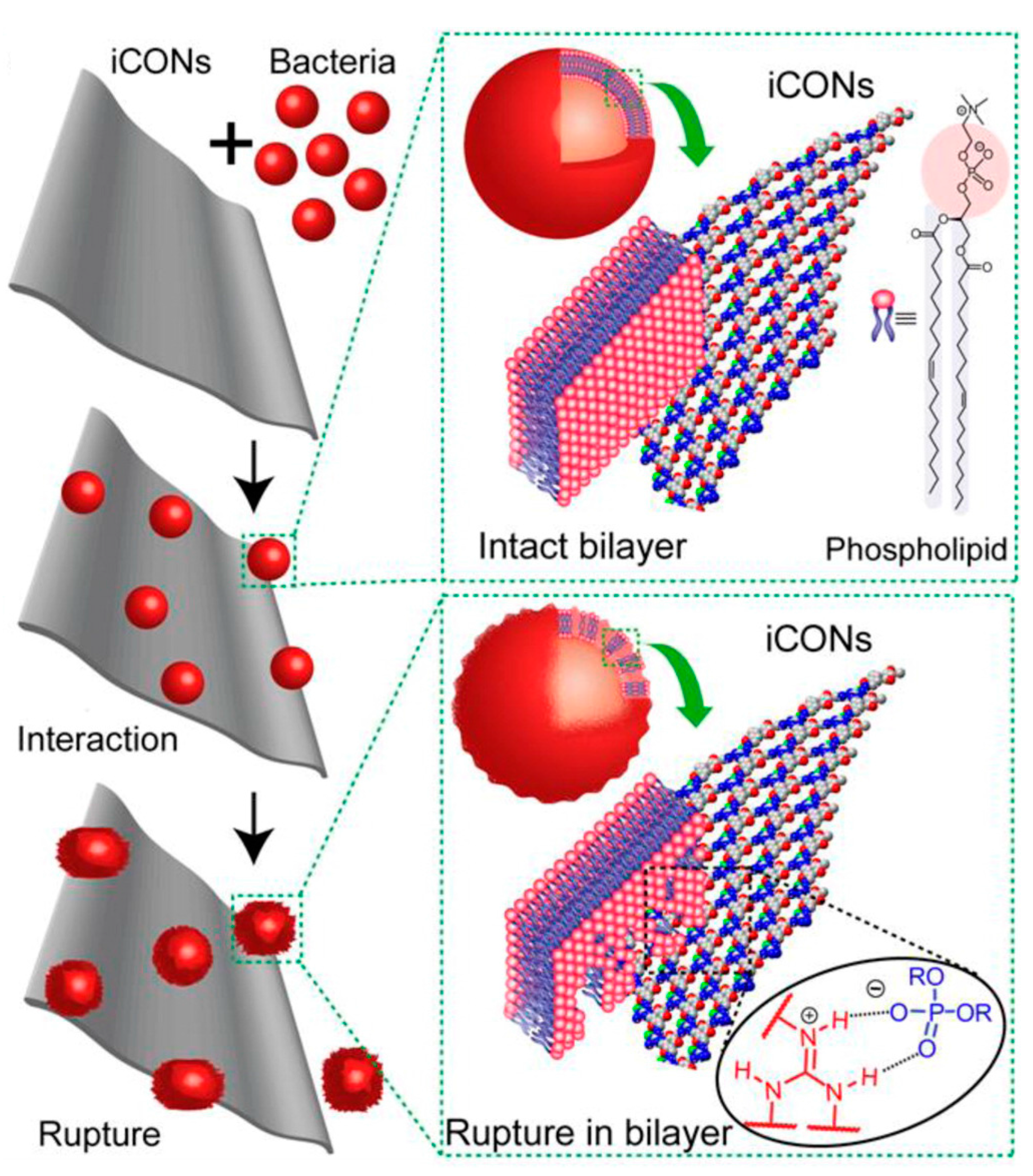 Nanomaterials 08 00015 g017