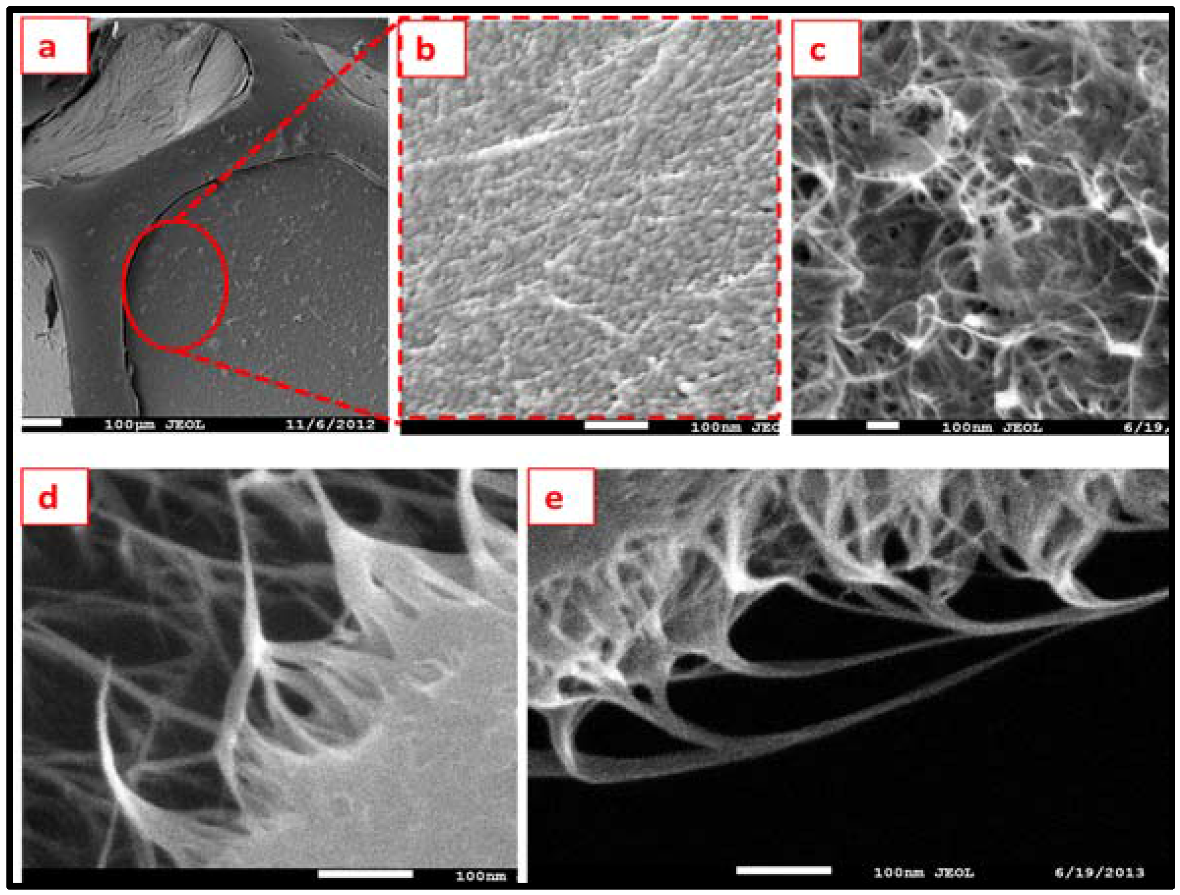 Nanomaterials 08 00019 g006 550