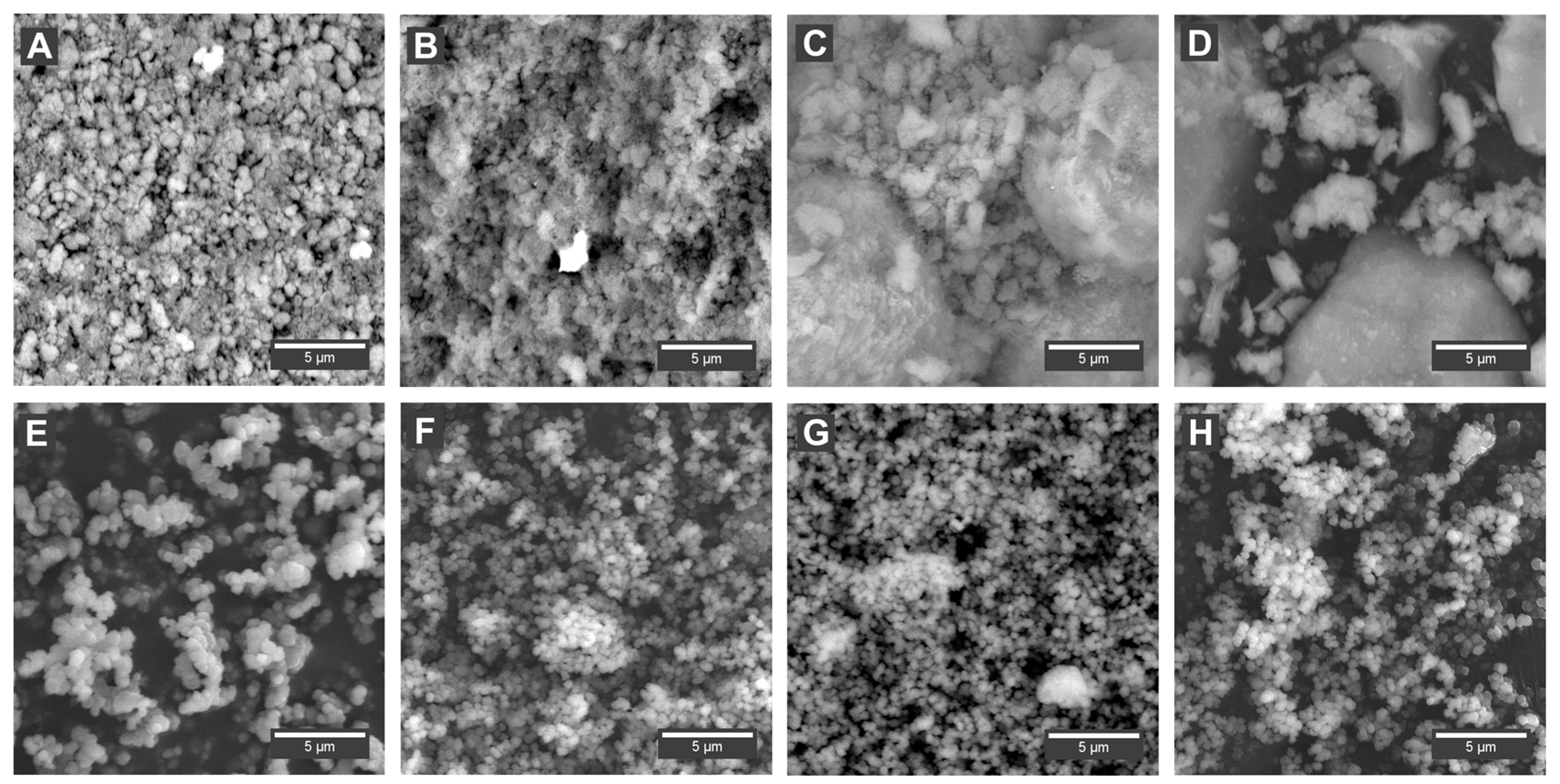 Nanomaterials 08 00021 g001 550