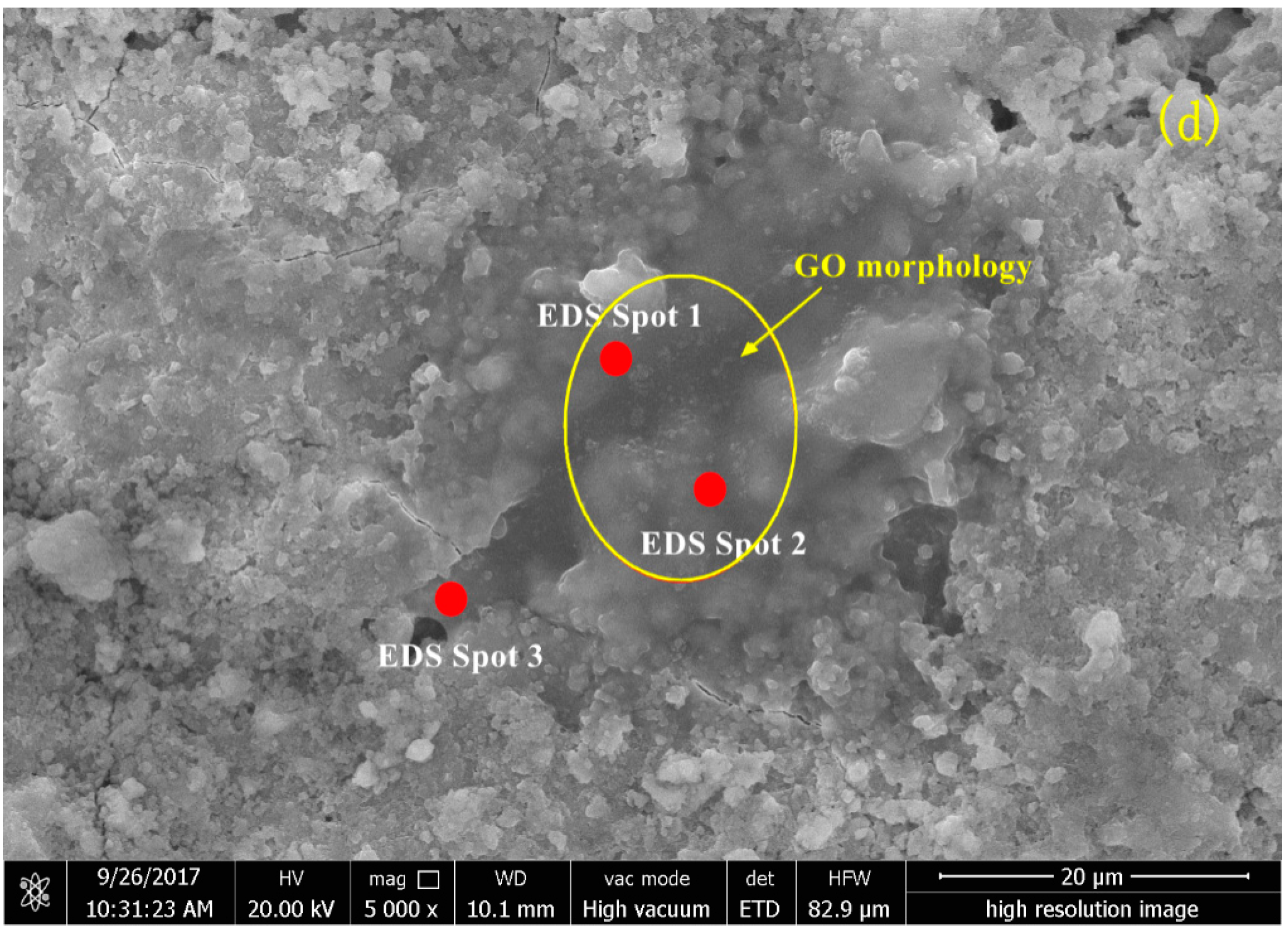 Nanomaterials 08 00031 g008b Nanomaterials 08 00031 g008b
