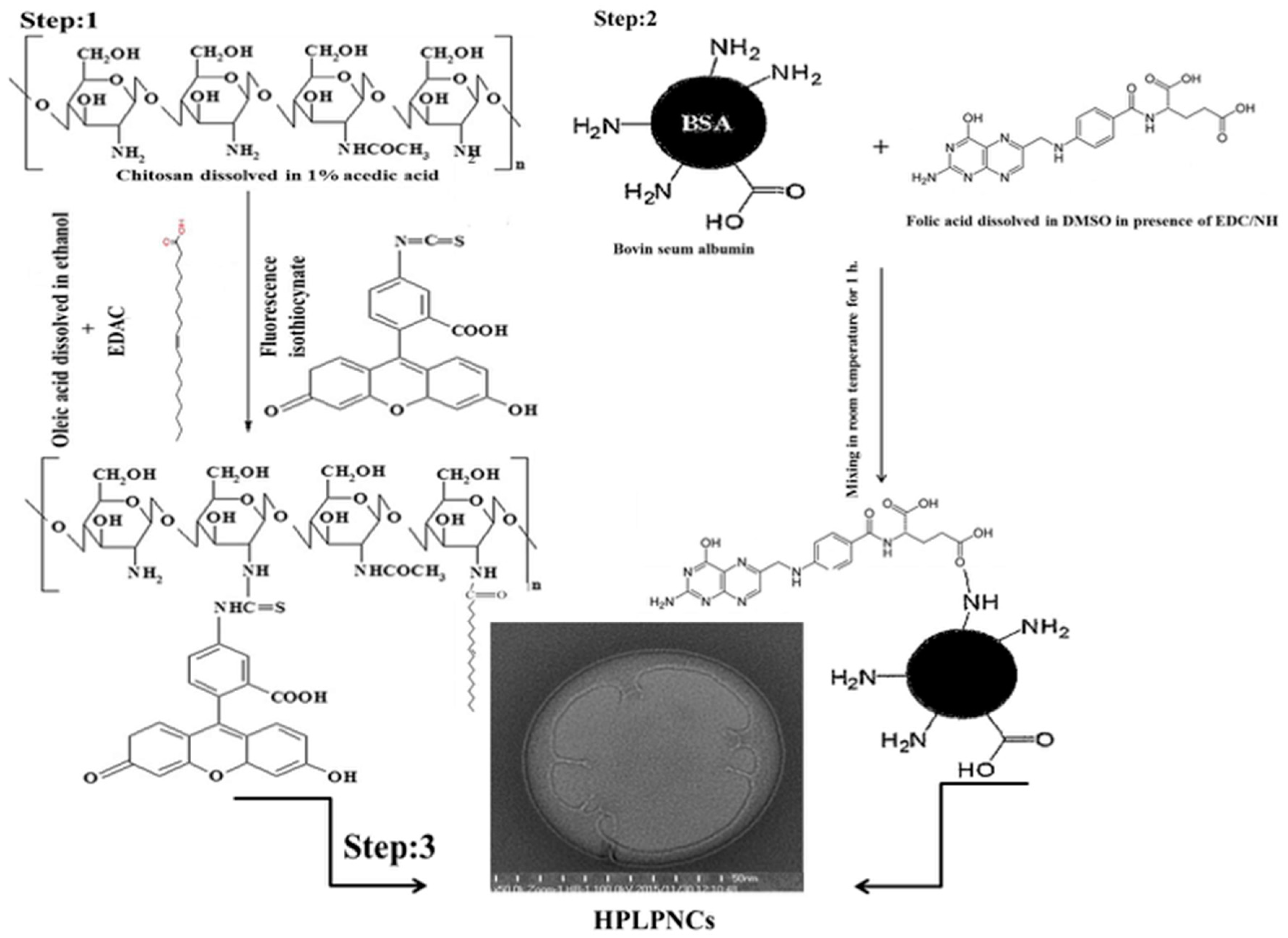 Nanomaterials 08 00034 g001 Nanomaterials 08 00034 g001