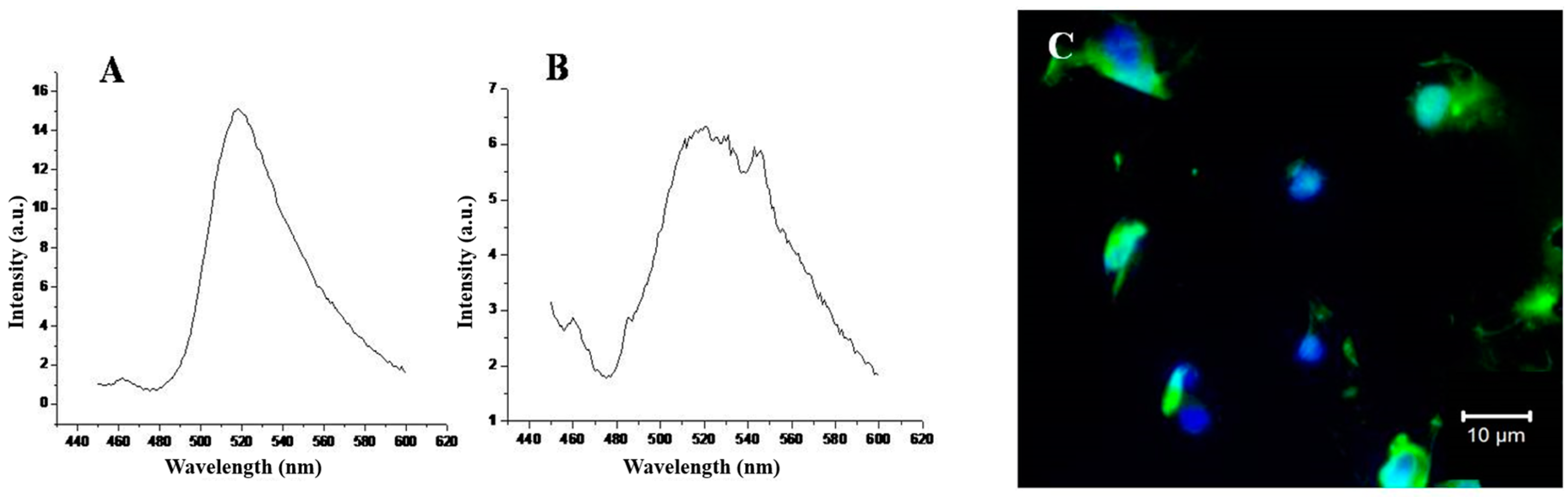 Nanomaterials 08 00034 g004 Nanomaterials 08 00034 g004