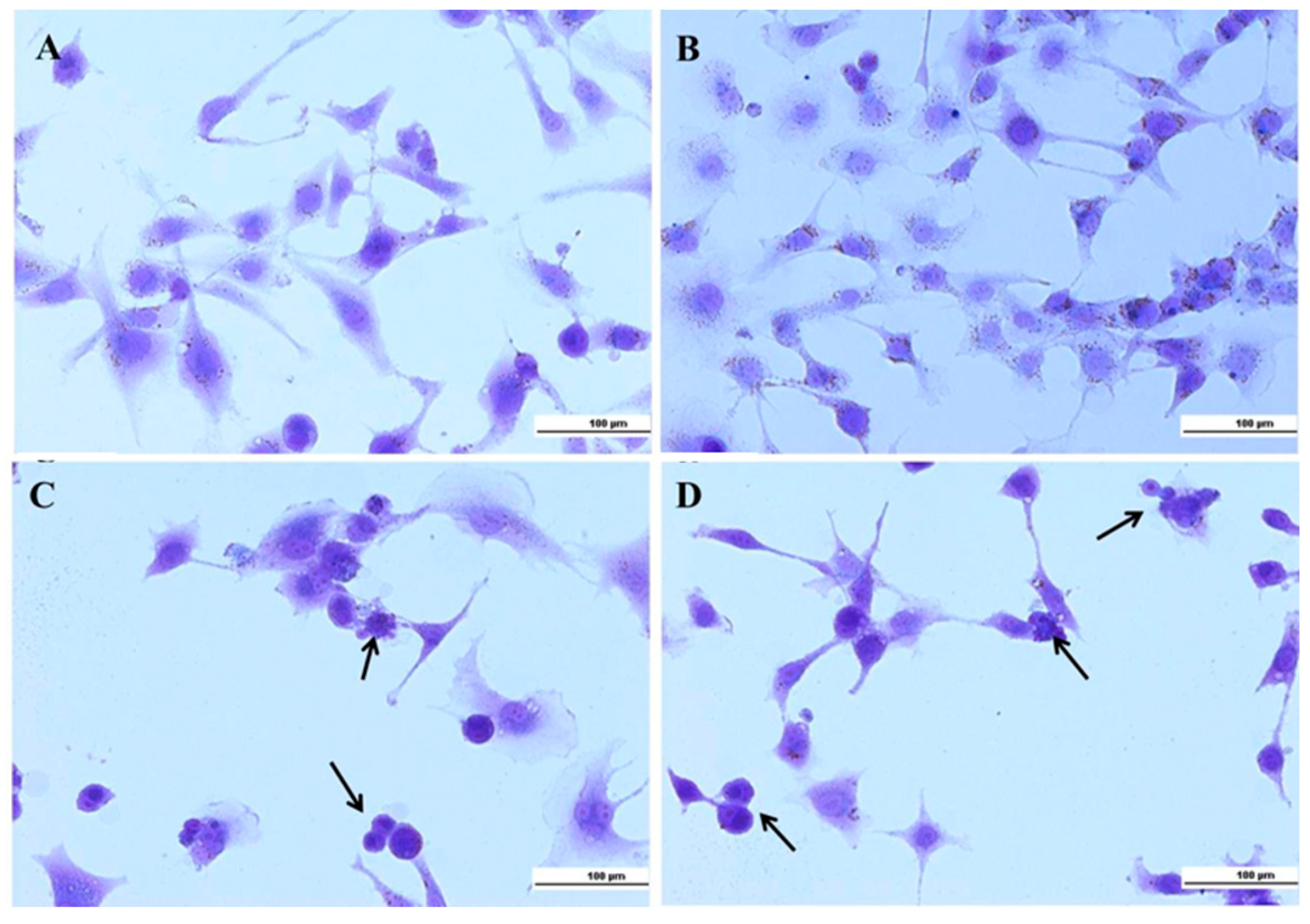 Nanomaterials 08 00034 g006 Nanomaterials 08 00034 g006