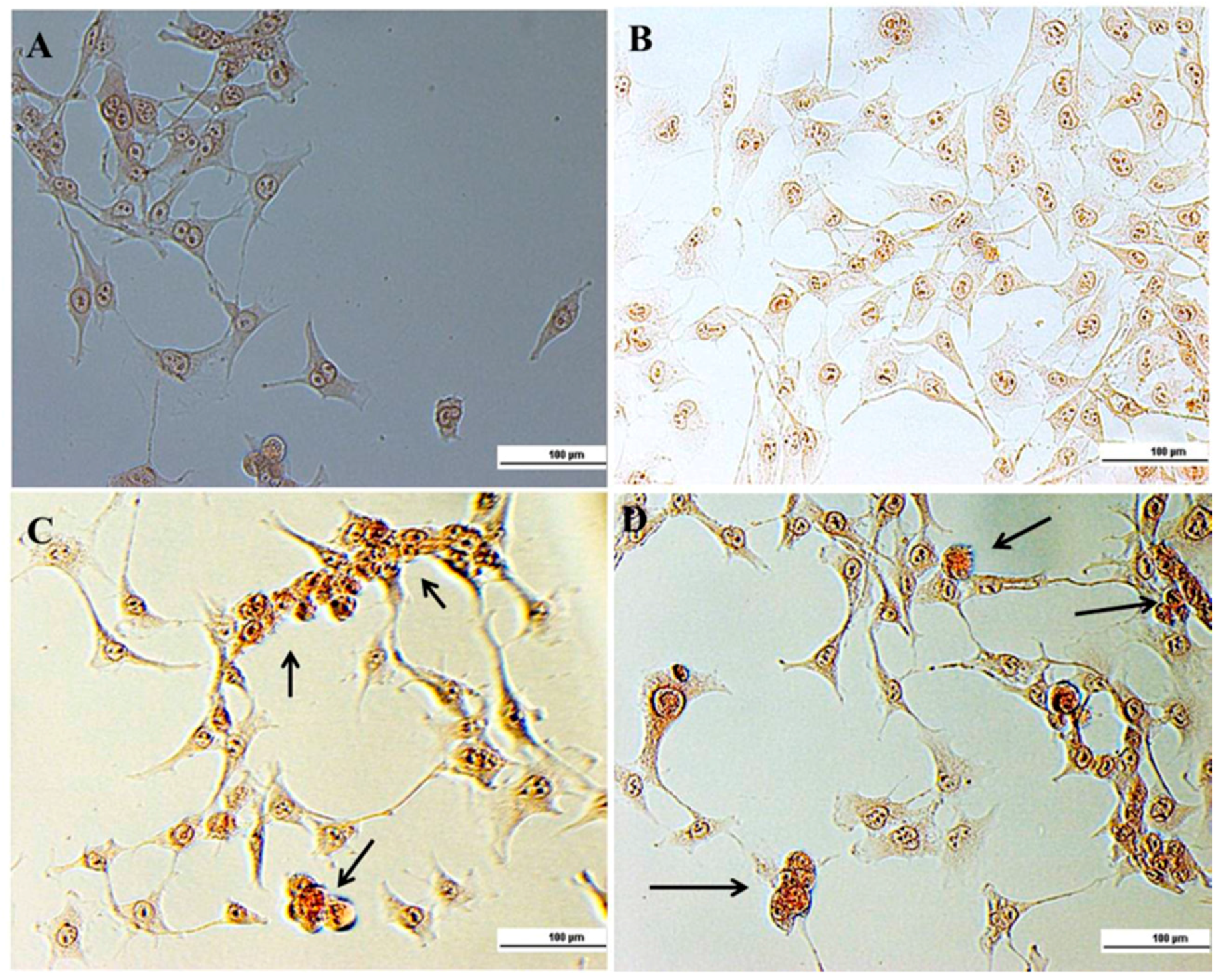 Nanomaterials 08 00034 g007 Nanomaterials 08 00034 g007