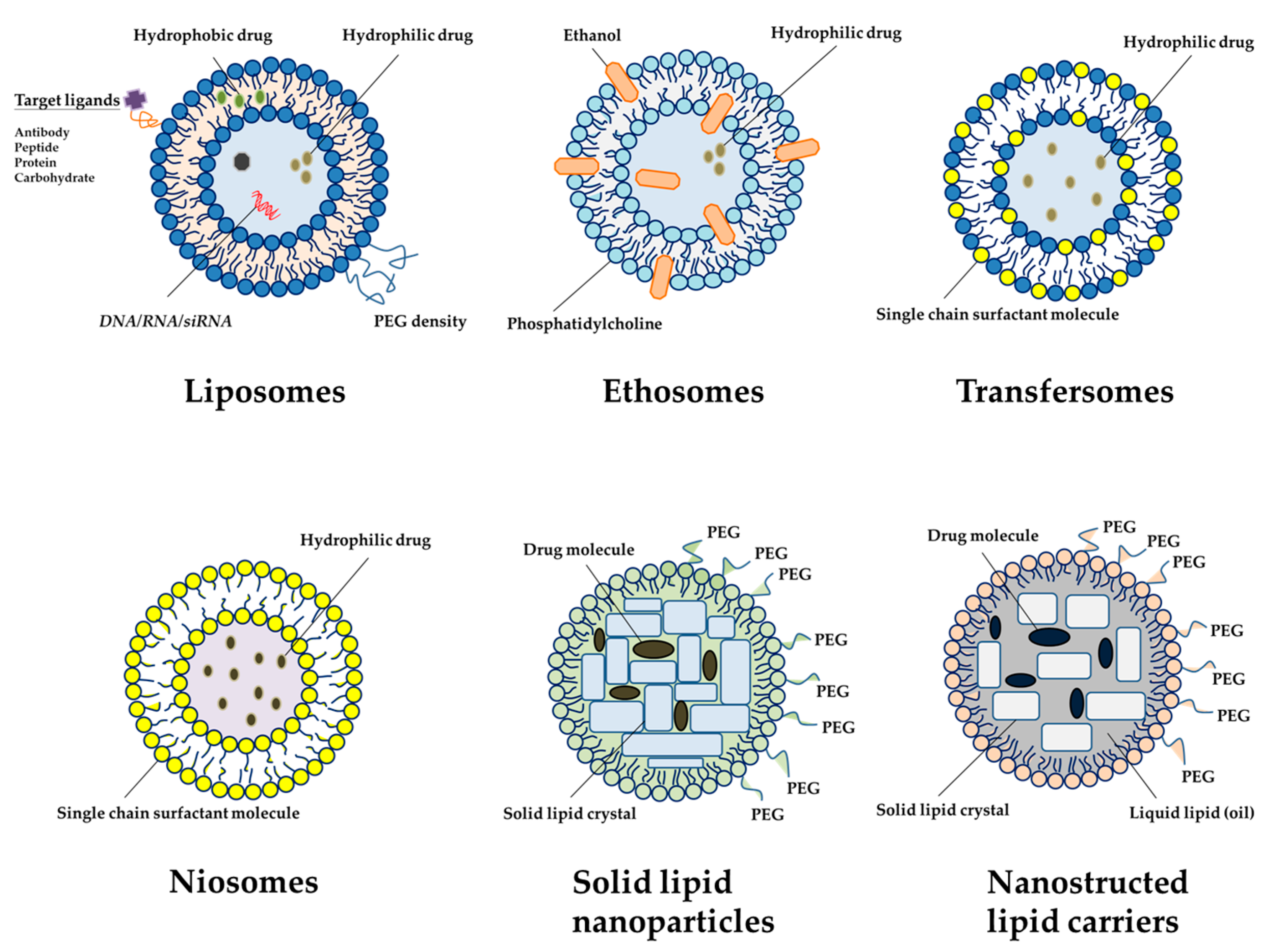 Nanomaterials 08 00042 g002 Nanomaterials 08 00042 g002