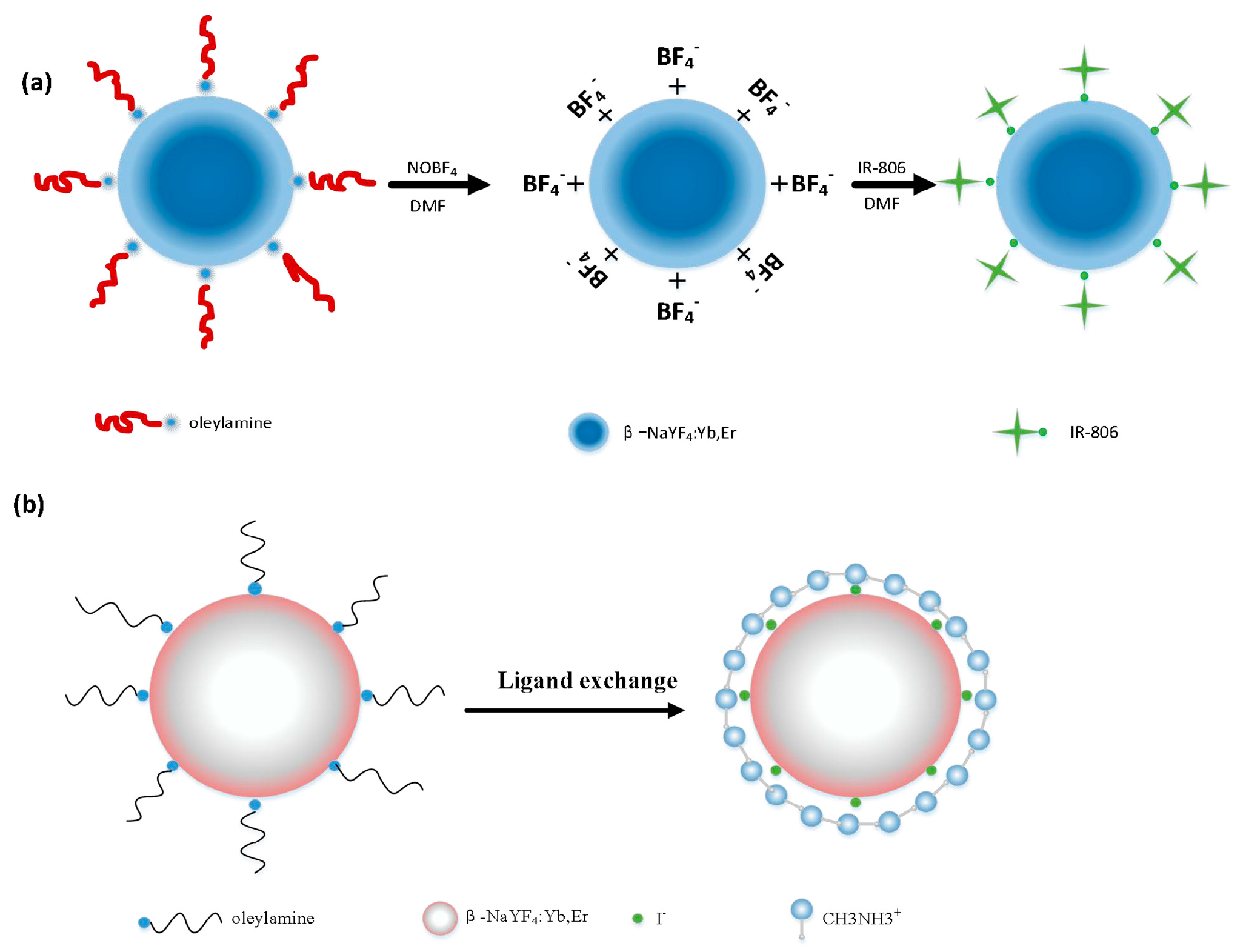 Nanomaterials 08 00043 sch001 Nanomaterials 08 00043 sch001