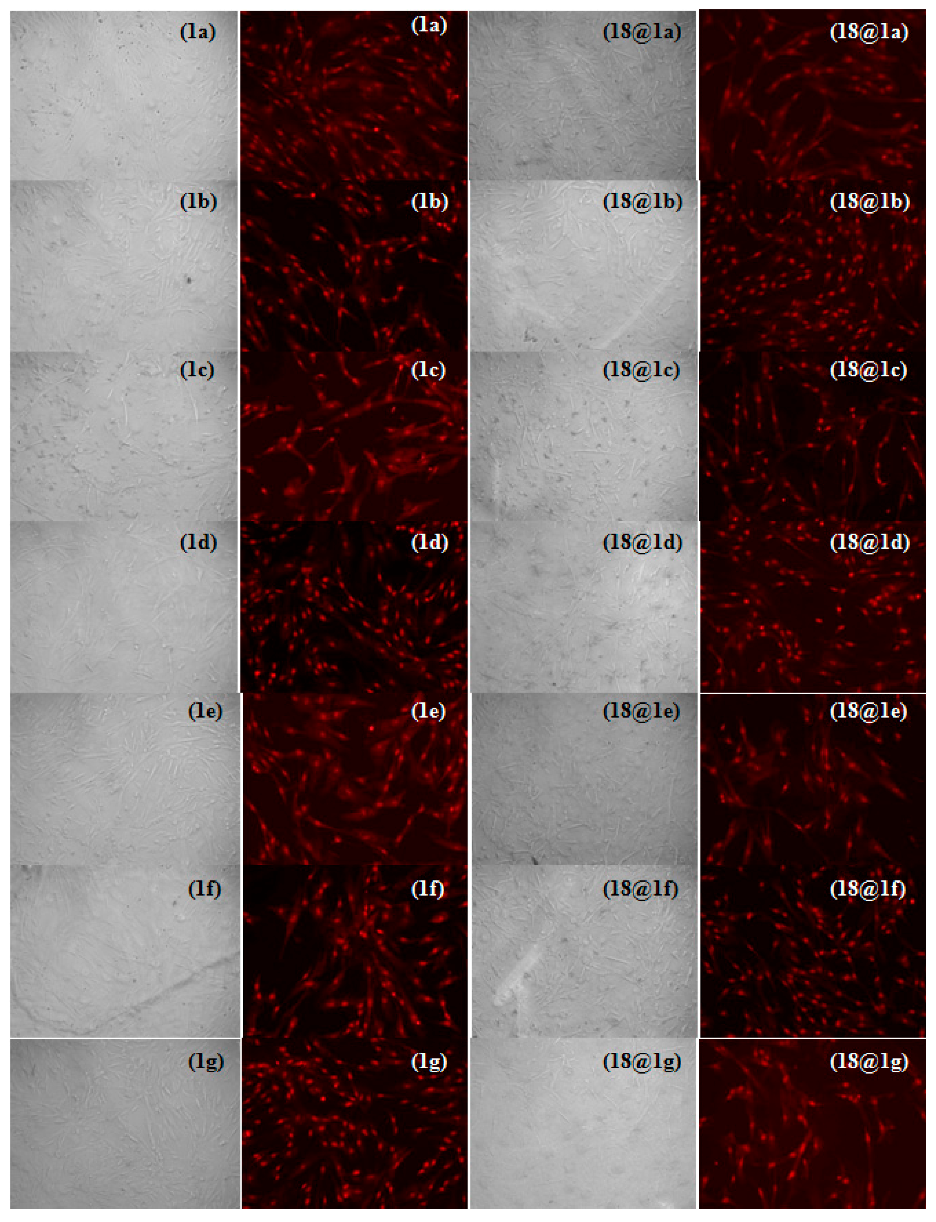 Nanomaterials 08 00047 g003a