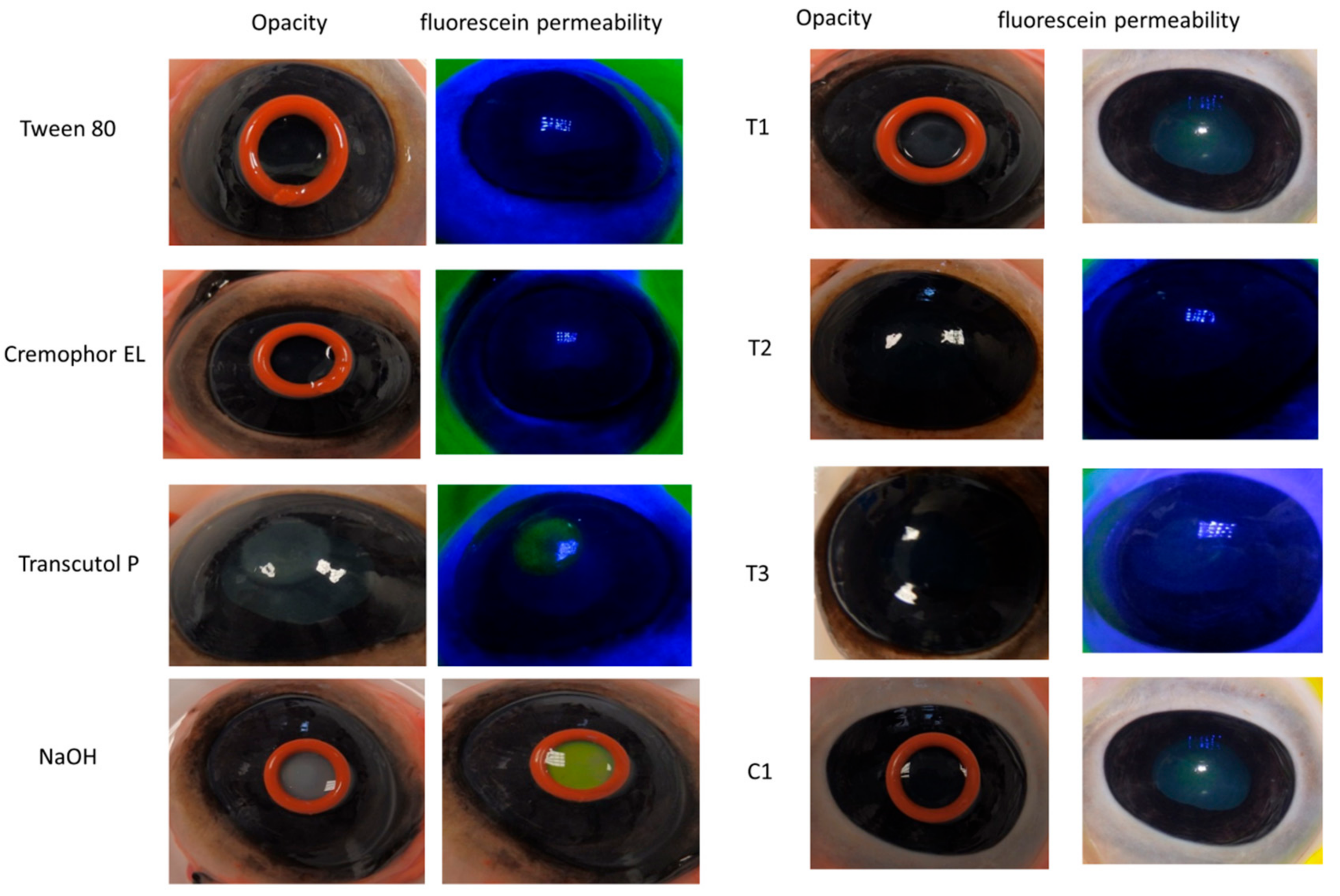 Nanomaterials 08 00051 g008 Nanomaterials 08 00051 g008