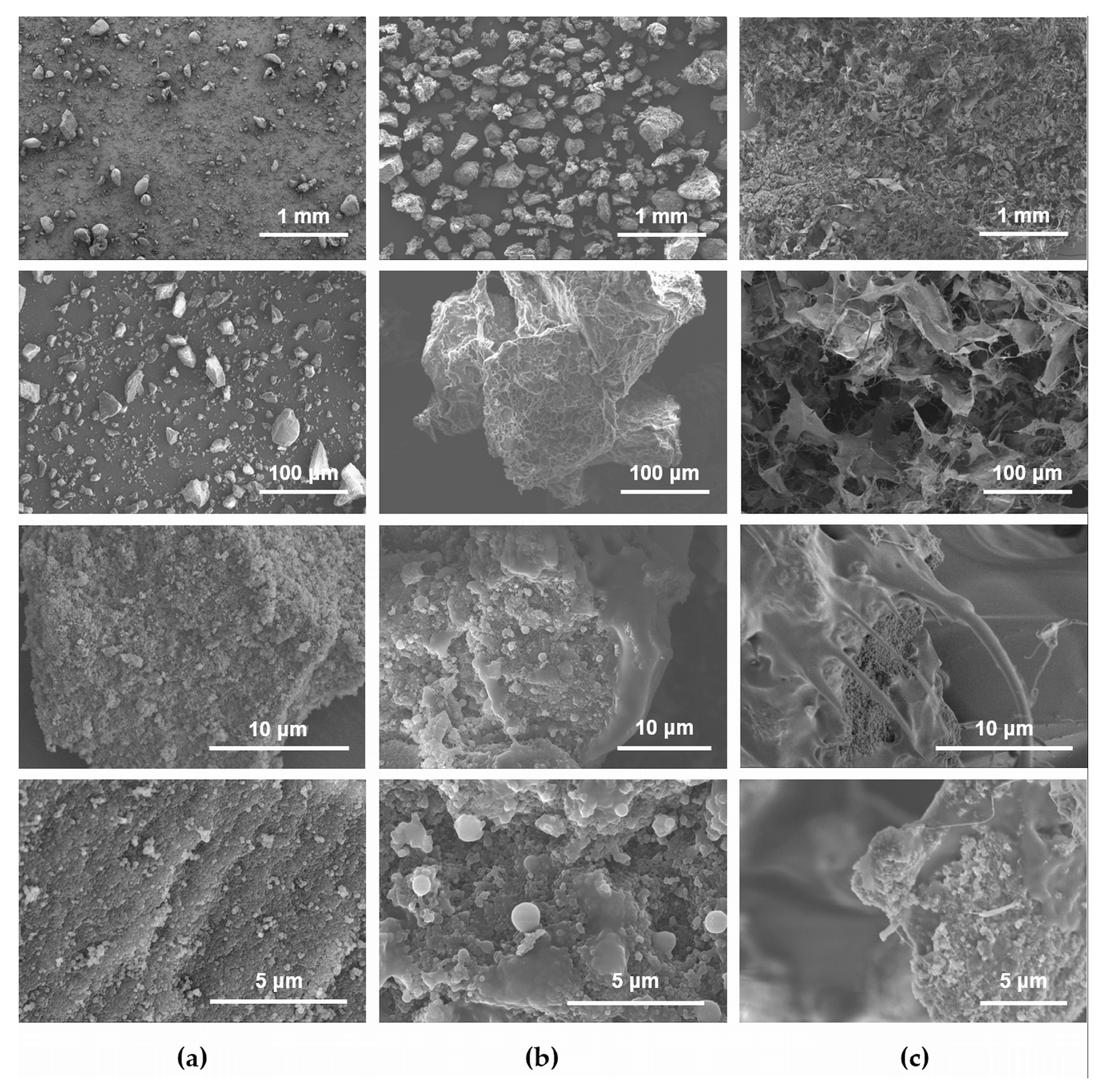Nanomaterials 08 00054 g002
