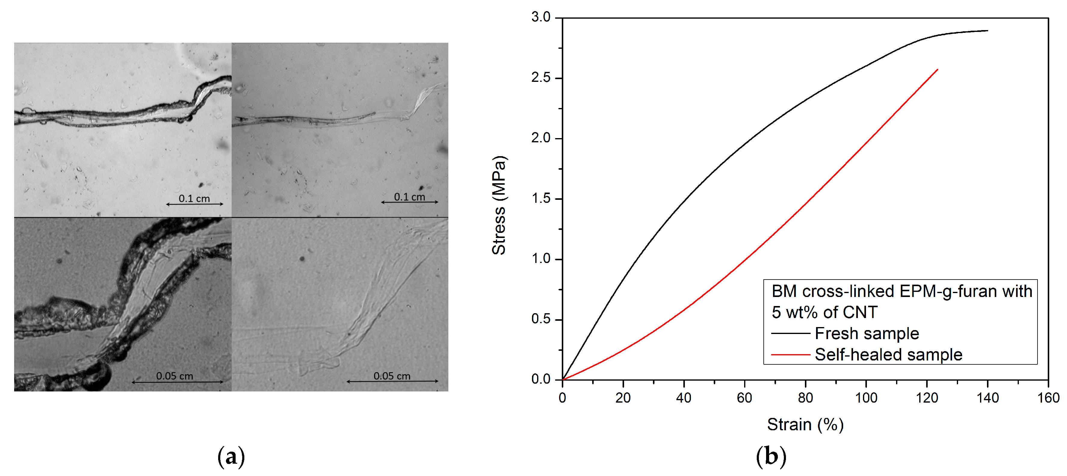 Nanomaterials 08 00058 g011