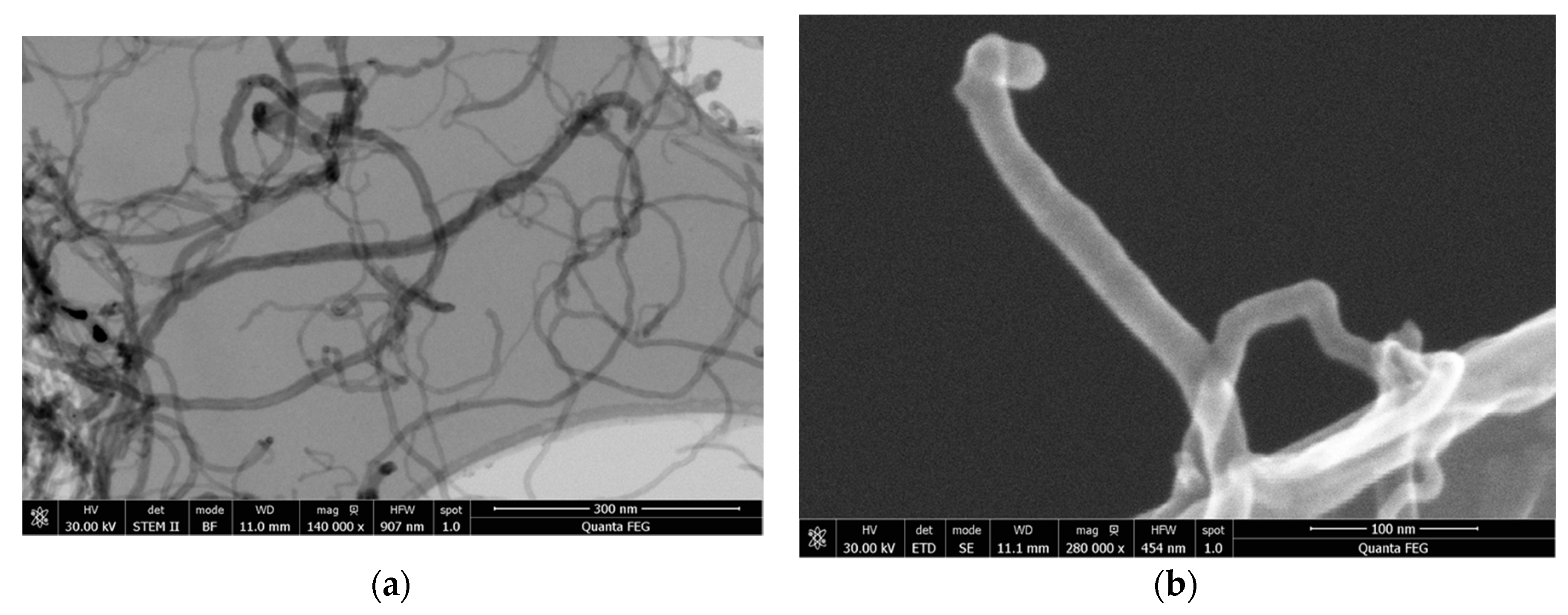 Nanomaterials 08 00058 g0a4