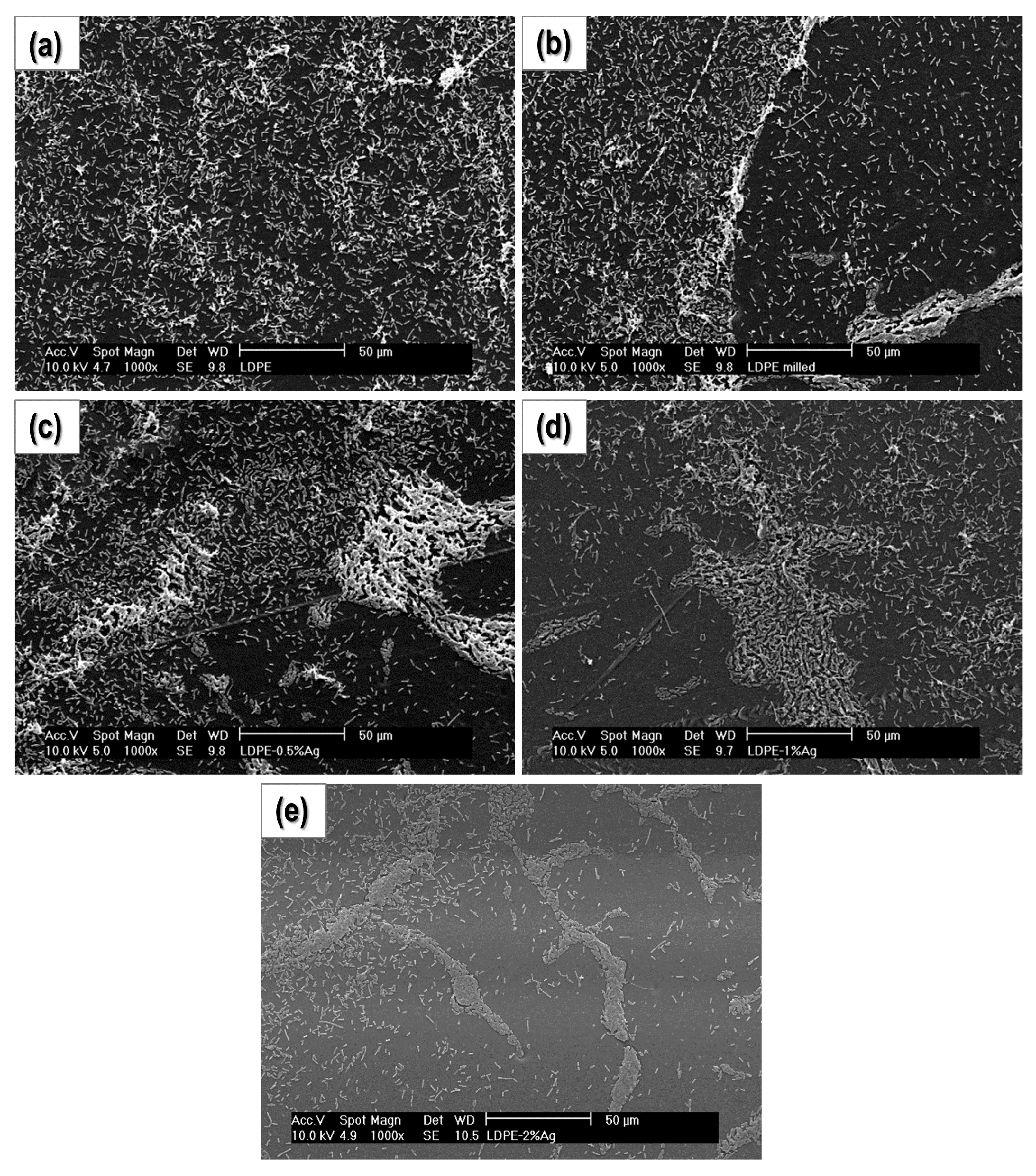 Nanomaterials 08 00060 g005