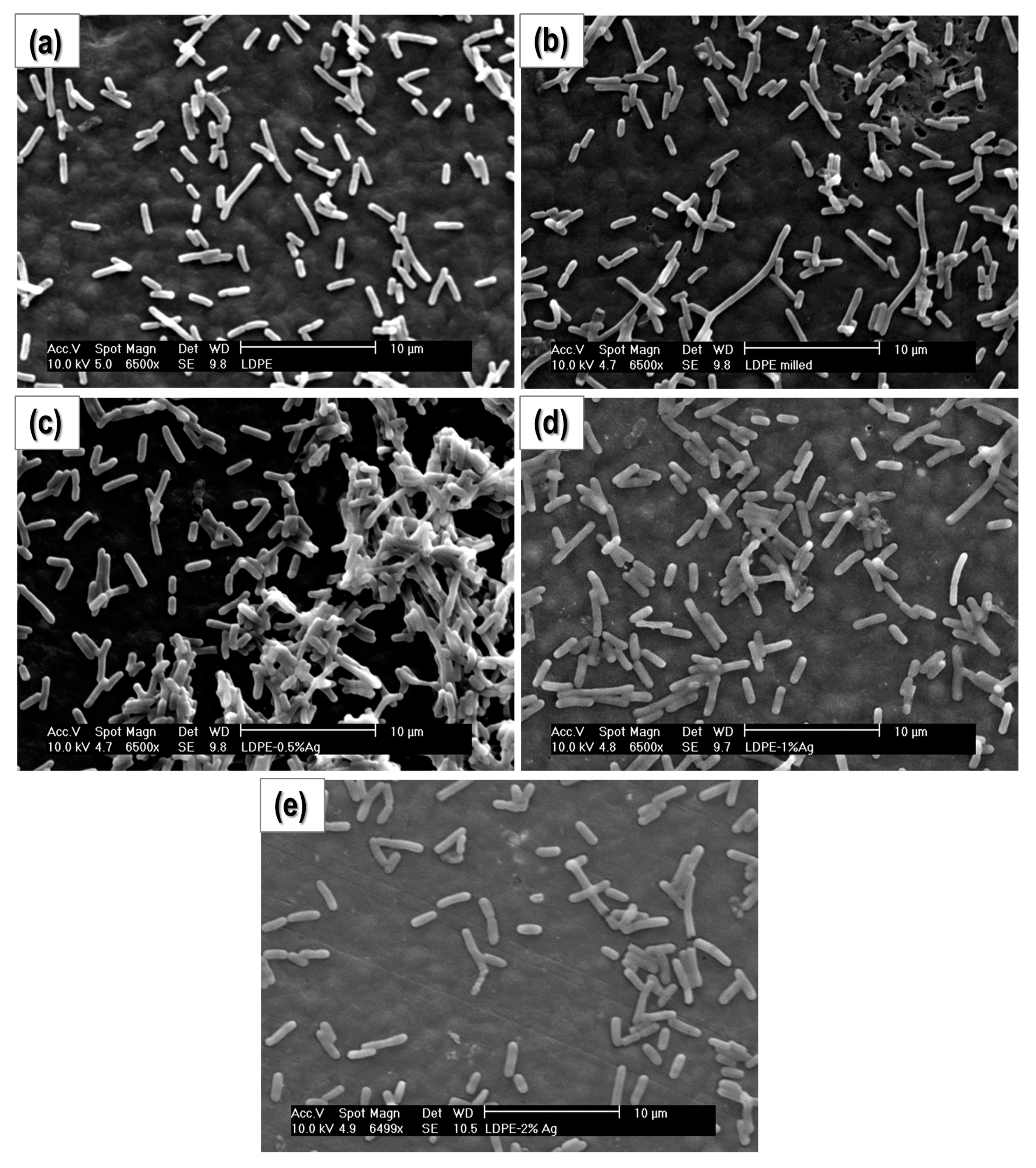 Nanomaterials 08 00060 g007