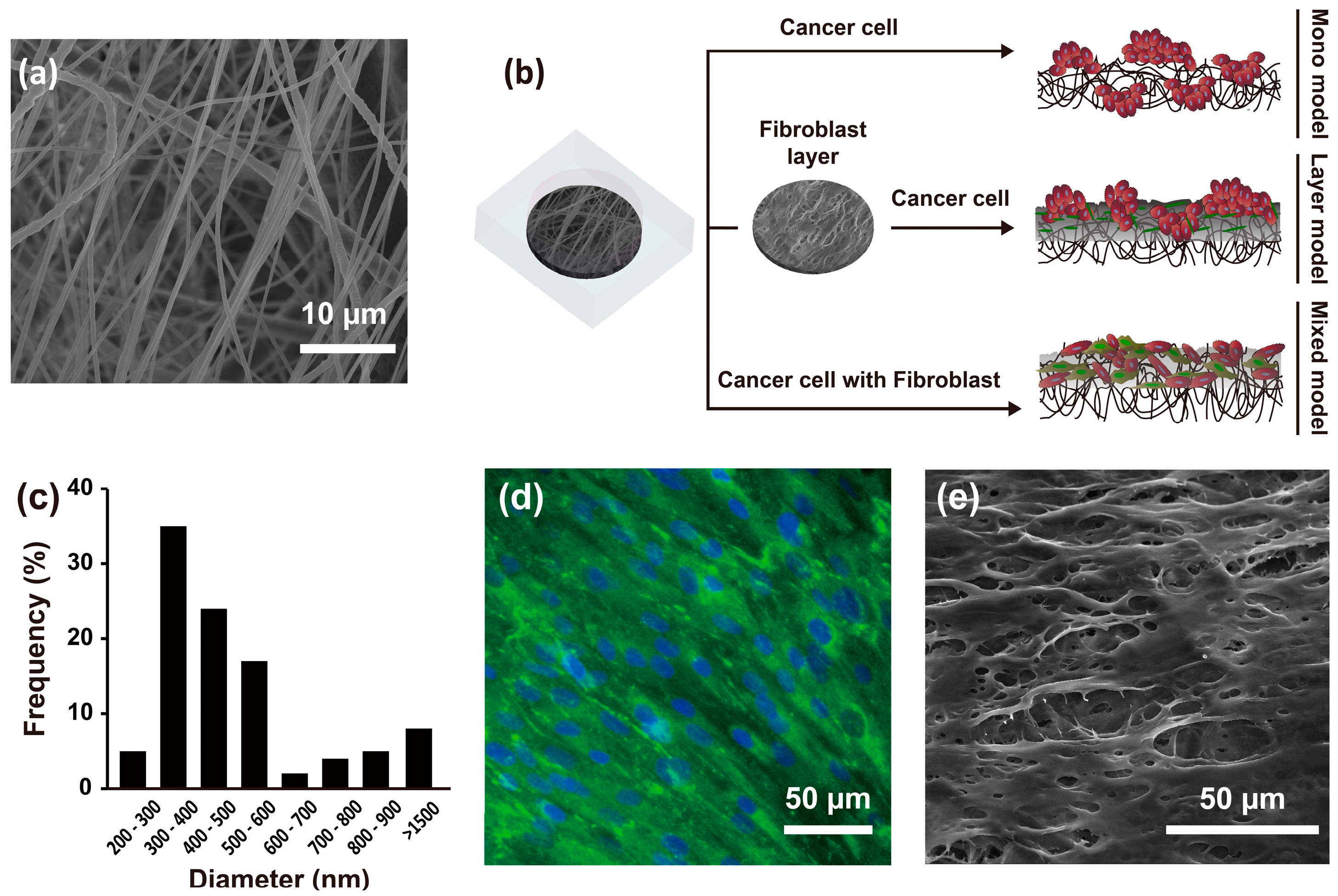Nanomaterials 08 00064 g001