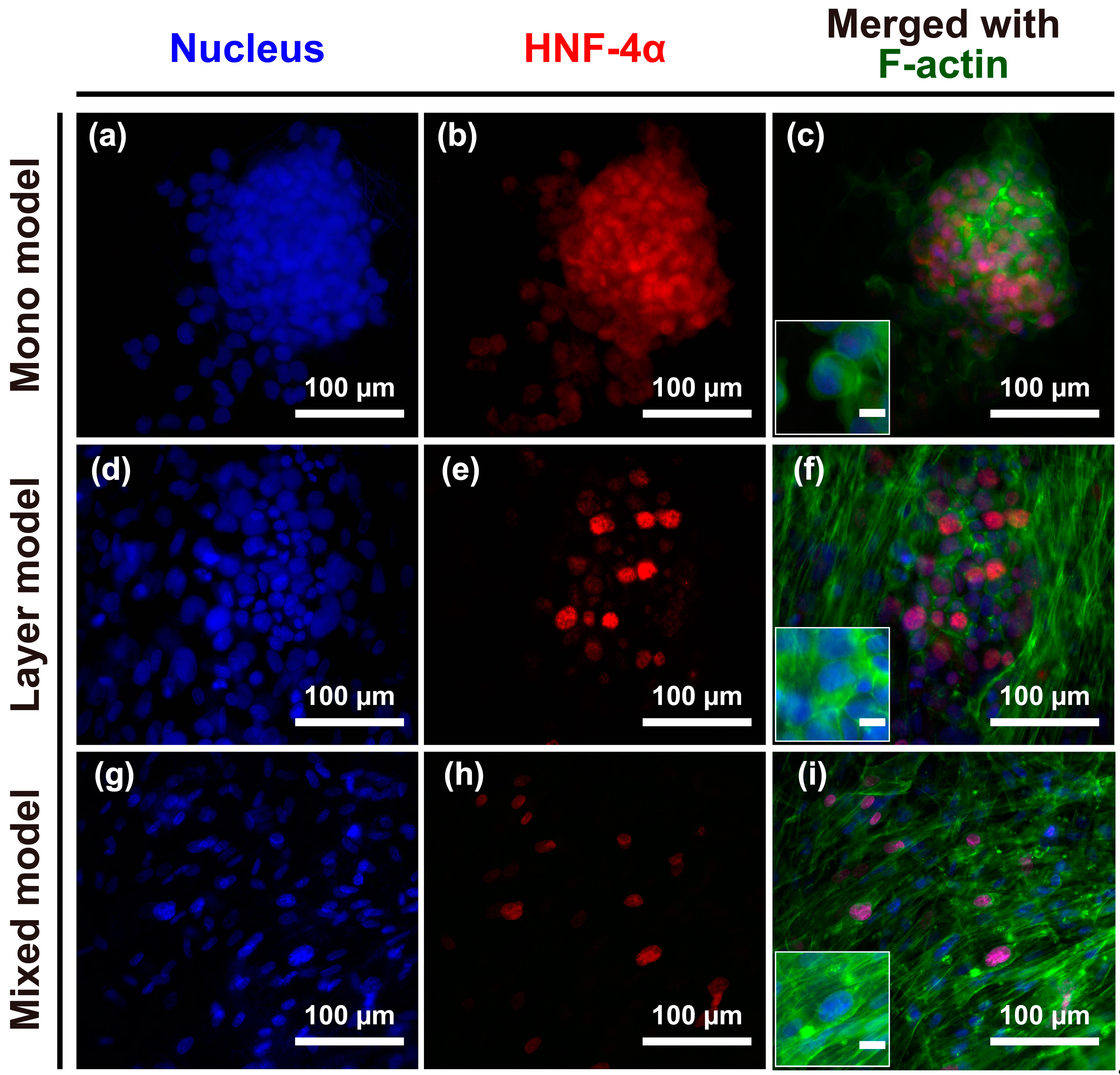 Nanomaterials 08 00064 g002