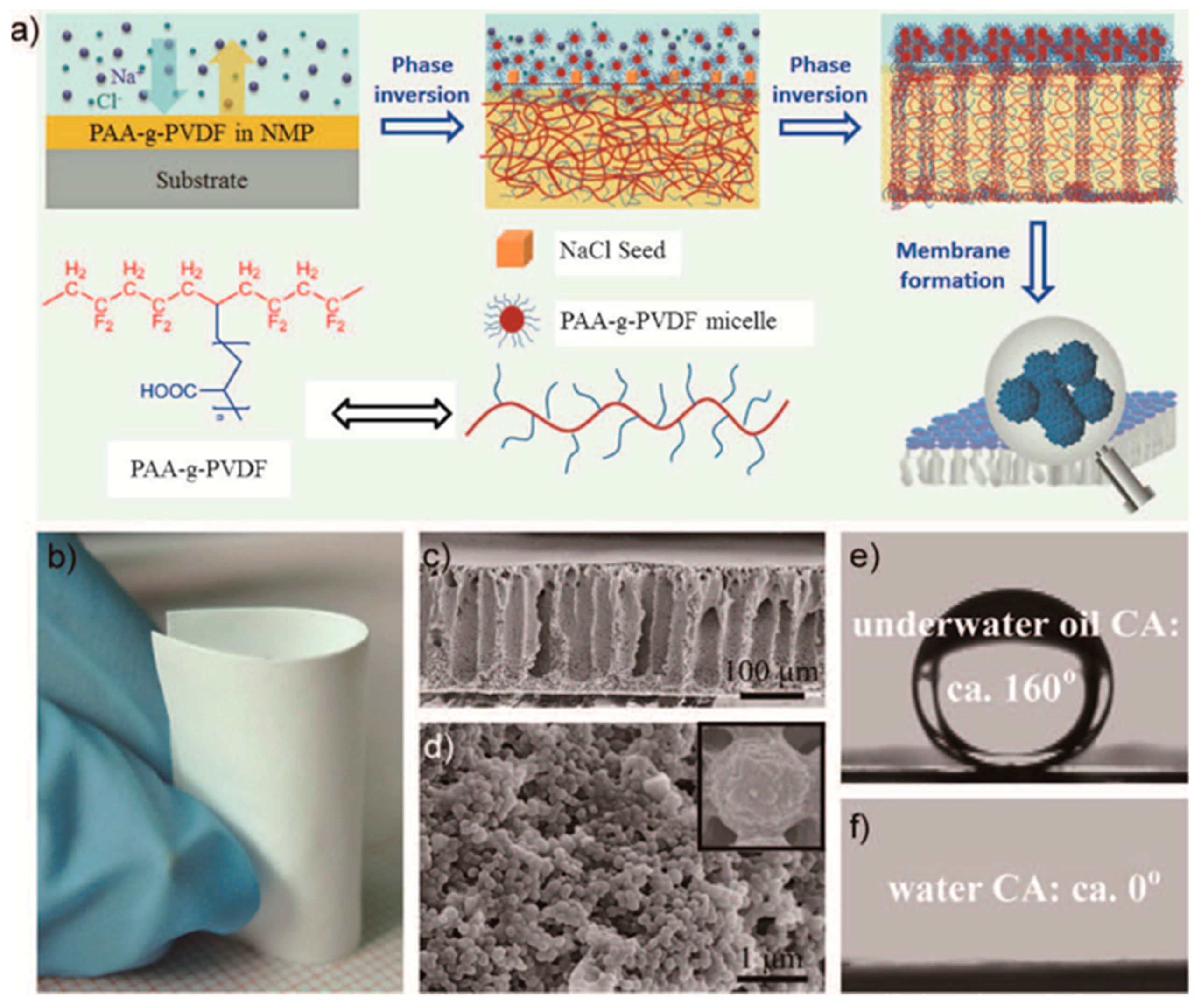 Nanomaterials 08 00065 g006