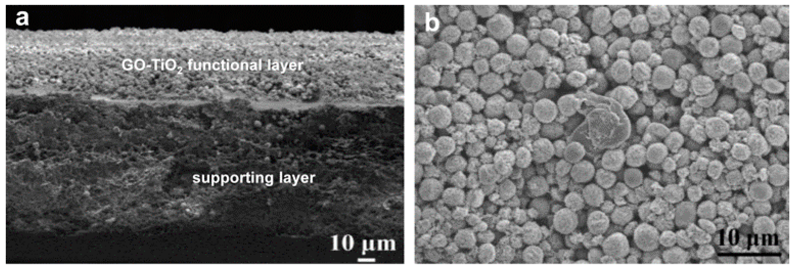 Nanomaterials 08 00065 g008
