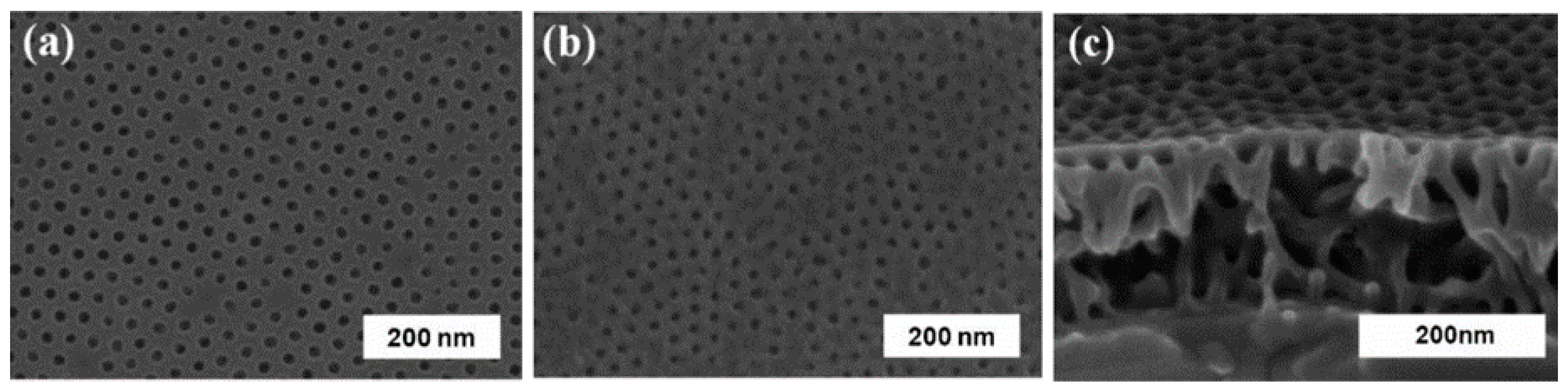 Nanomaterials 08 00065 g010