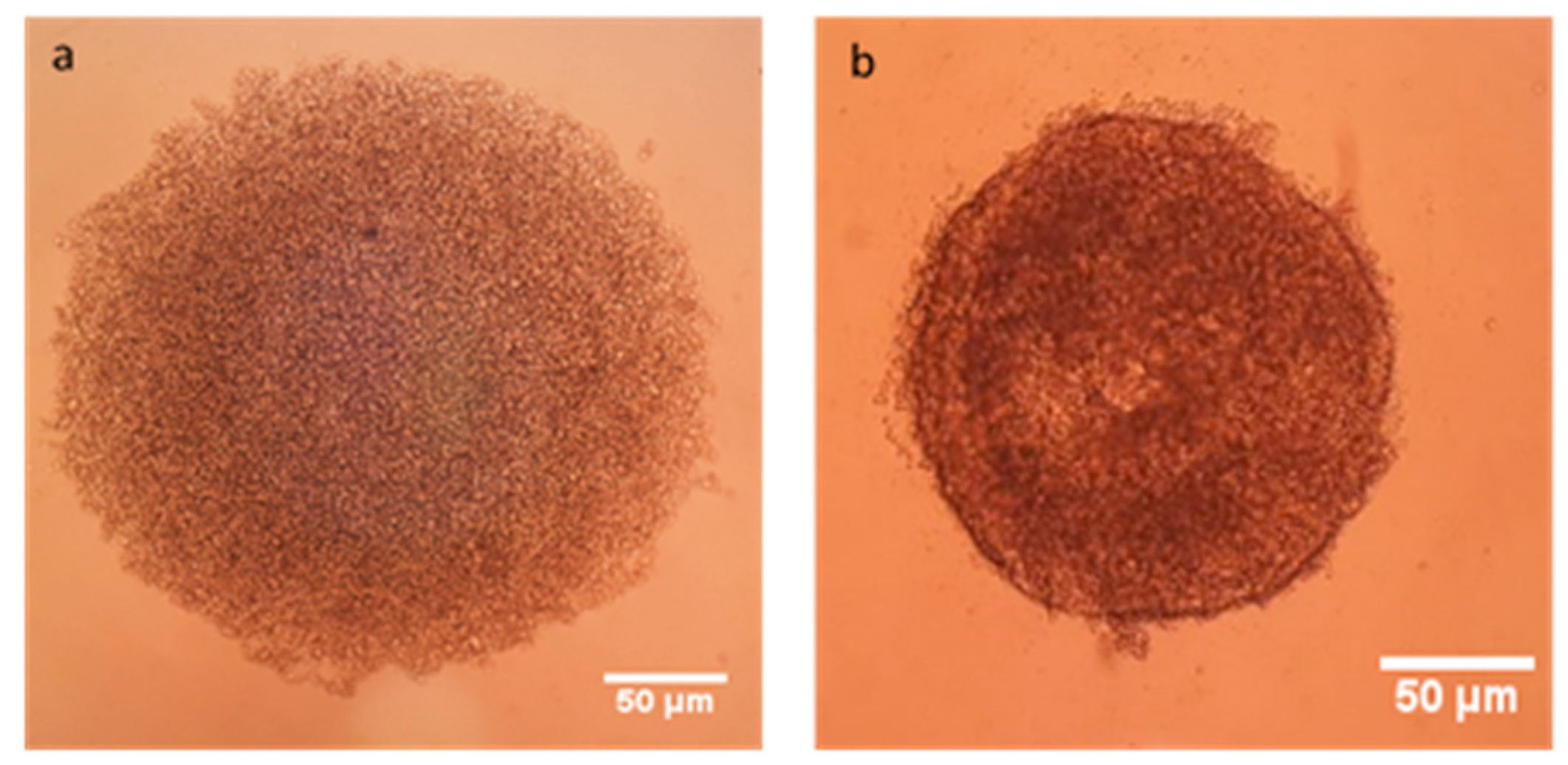 Nanomaterials 08 00067 g010 Nanomaterials 08 00067 g010