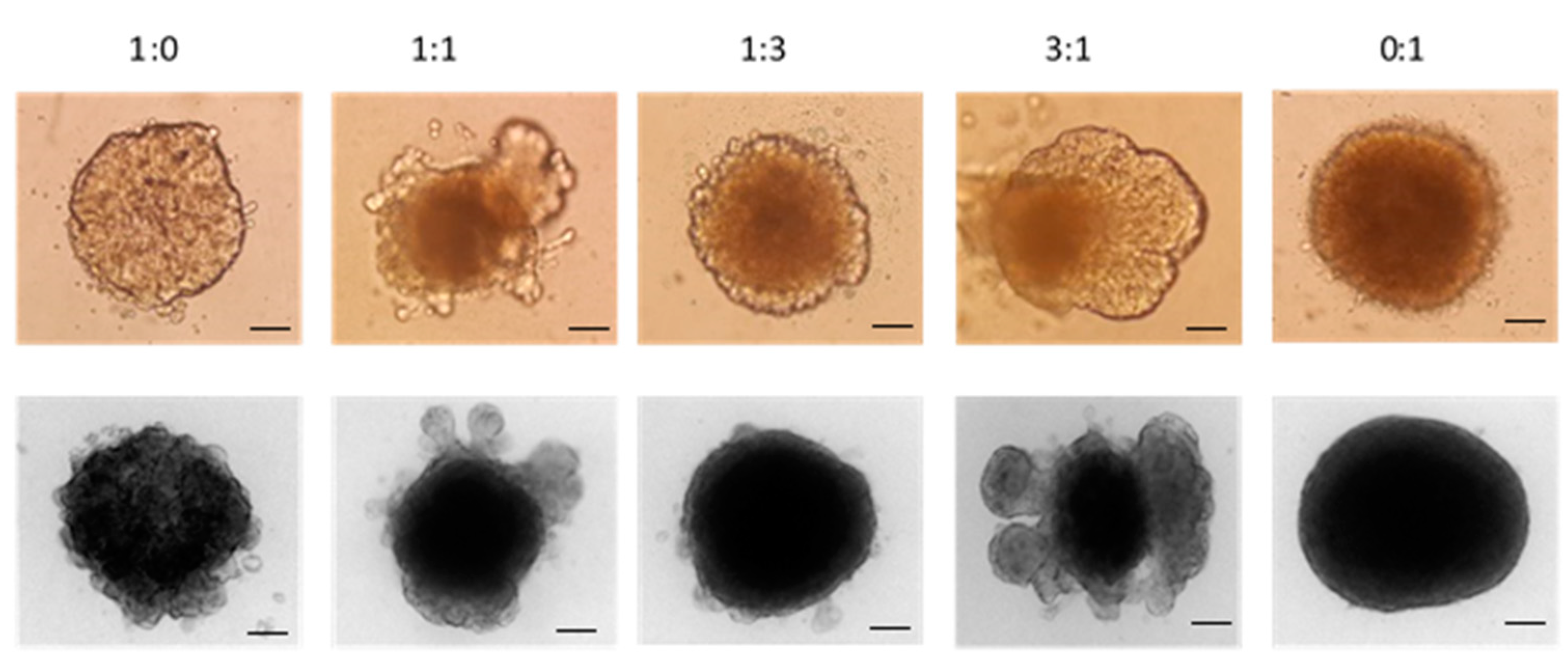 Nanomaterials 08 00067 g011 Nanomaterials 08 00067 g011