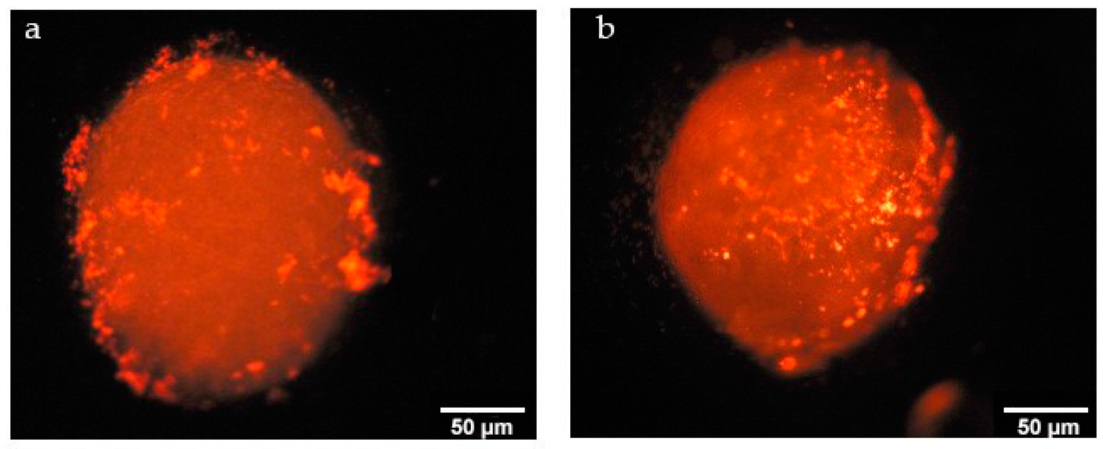 Nanomaterials 08 00067 g016 Nanomaterials 08 00067 g016