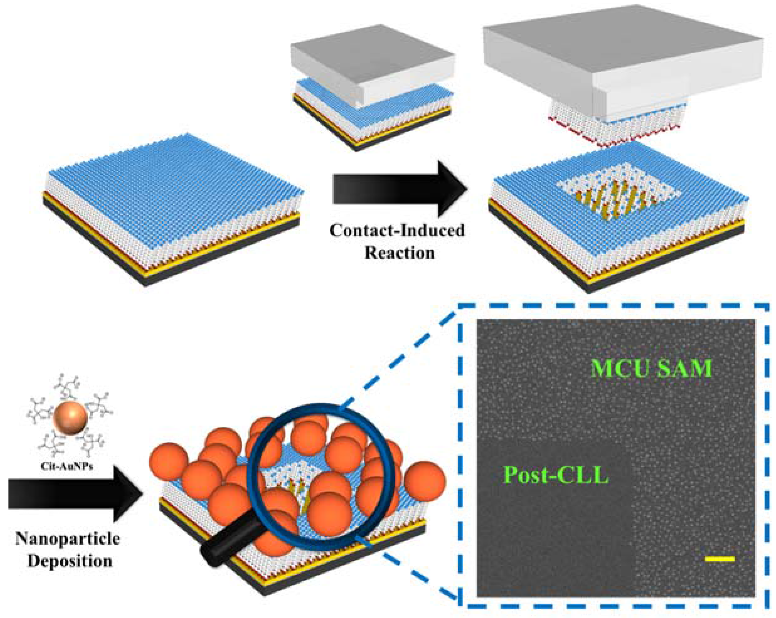 Nanomaterials 08 00071 g001 550