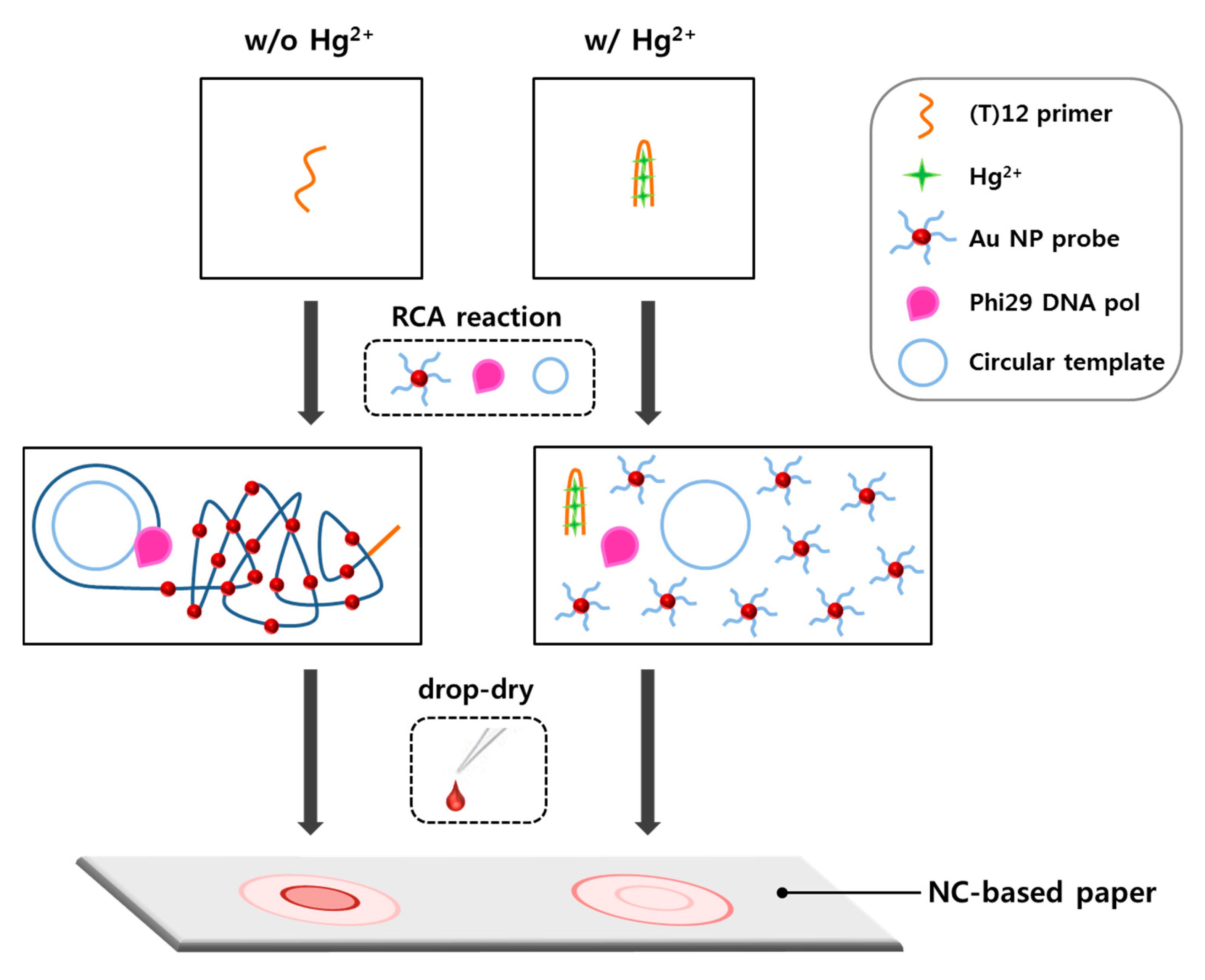 Nanomaterials 08 00081 g001