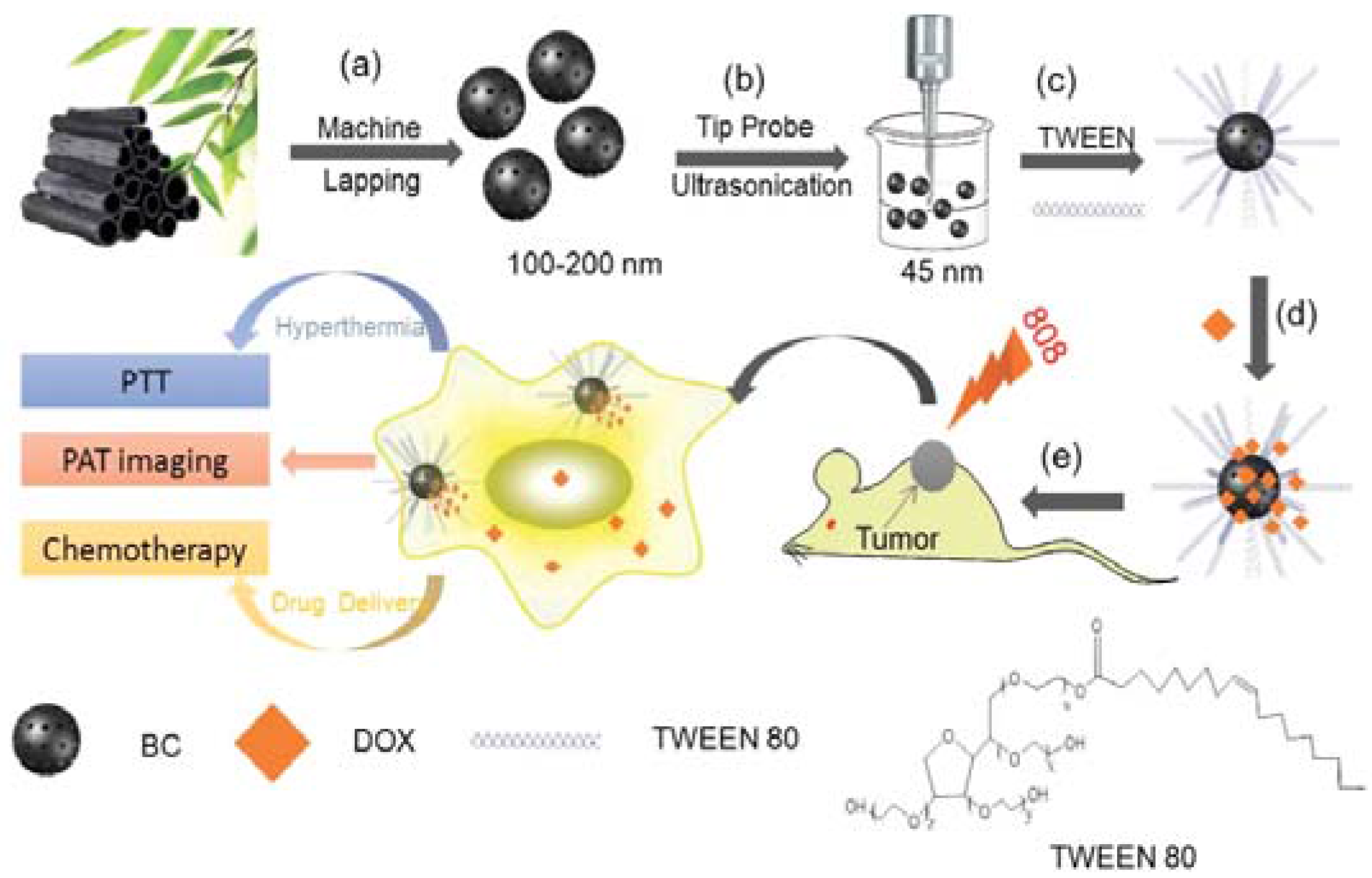 Nanomaterials 08 00085 g005 550