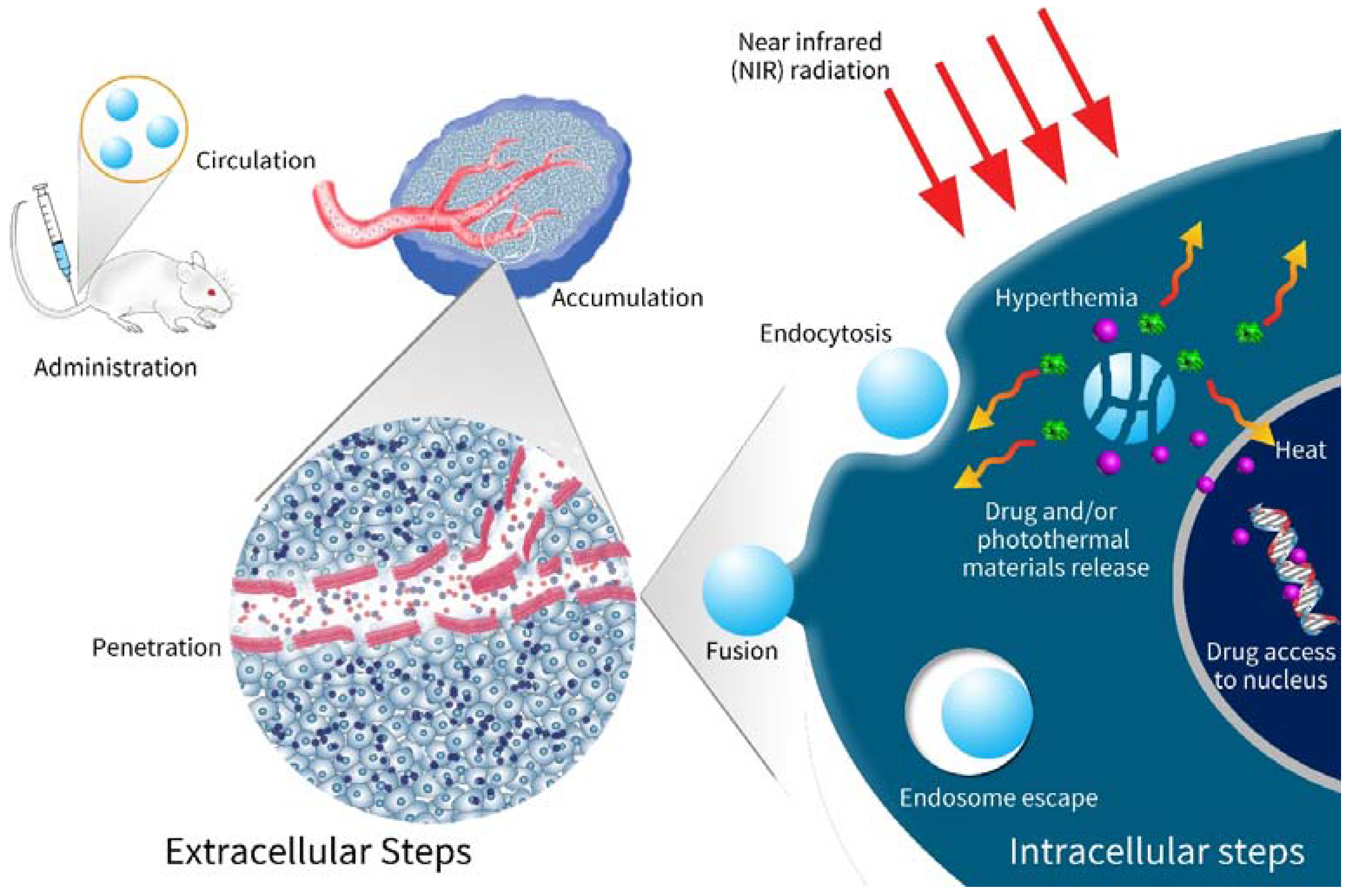 Nanomaterials 08 00085 sch001 550