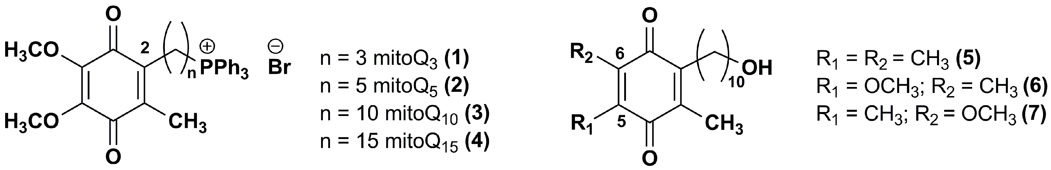 Nanomaterials 08 00087 g002