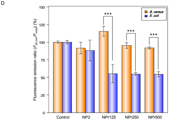 Antibacterial Effects of Chitosan/Cationic Peptide Nanoparticles