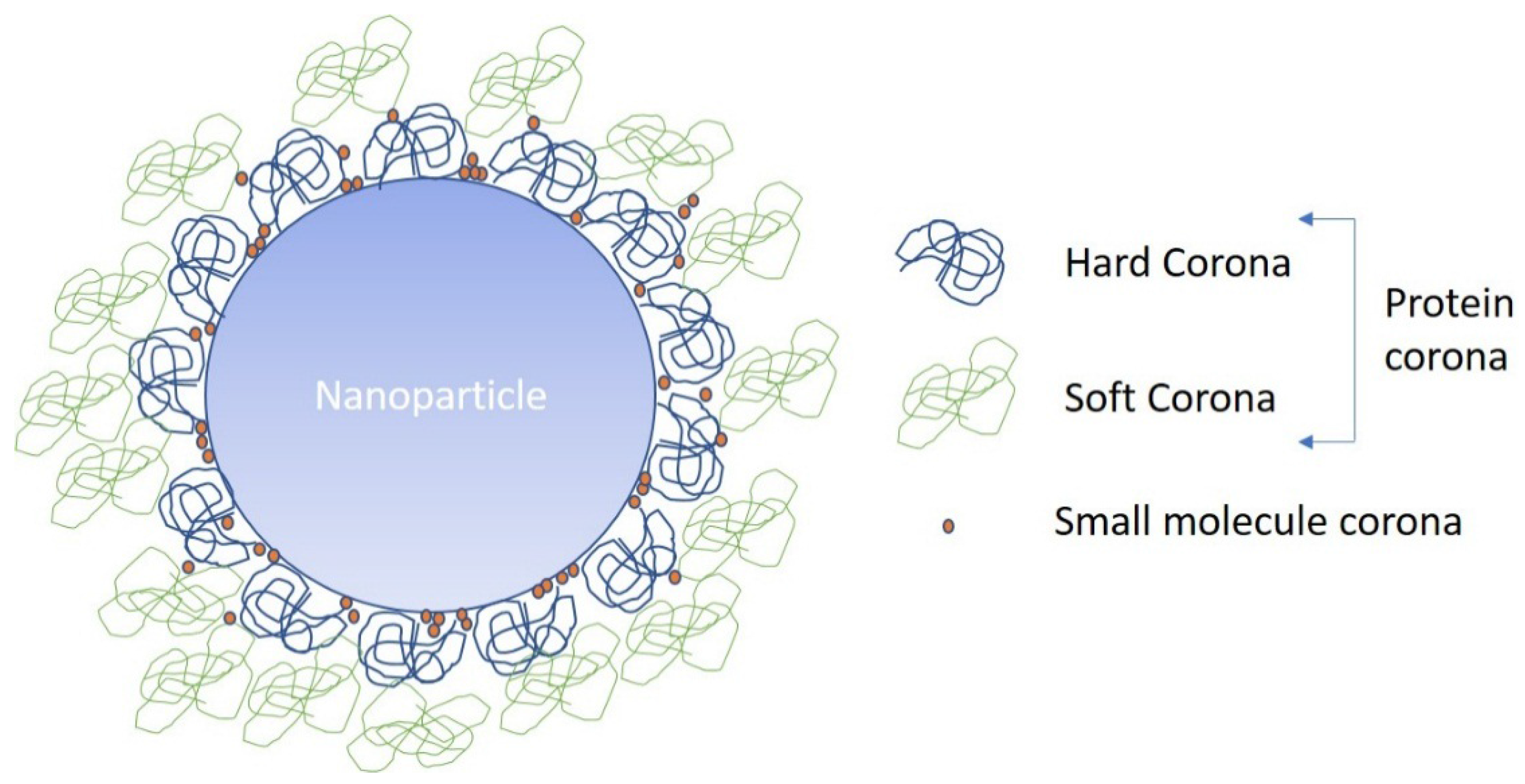 Nanomaterials 08 00099 g004 550