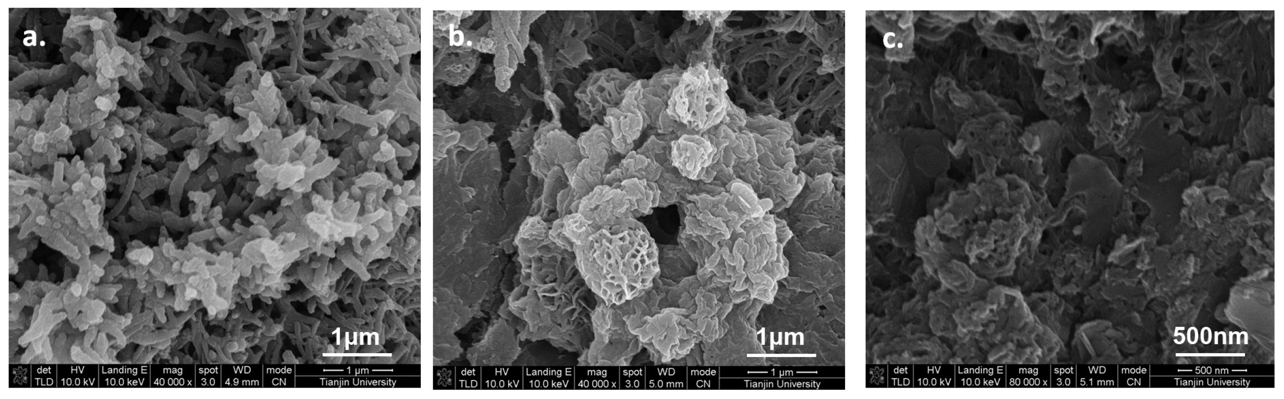 Nanomaterials 08 00103 g006